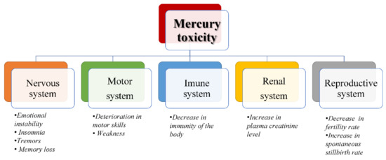 chronic mercury poisoning
