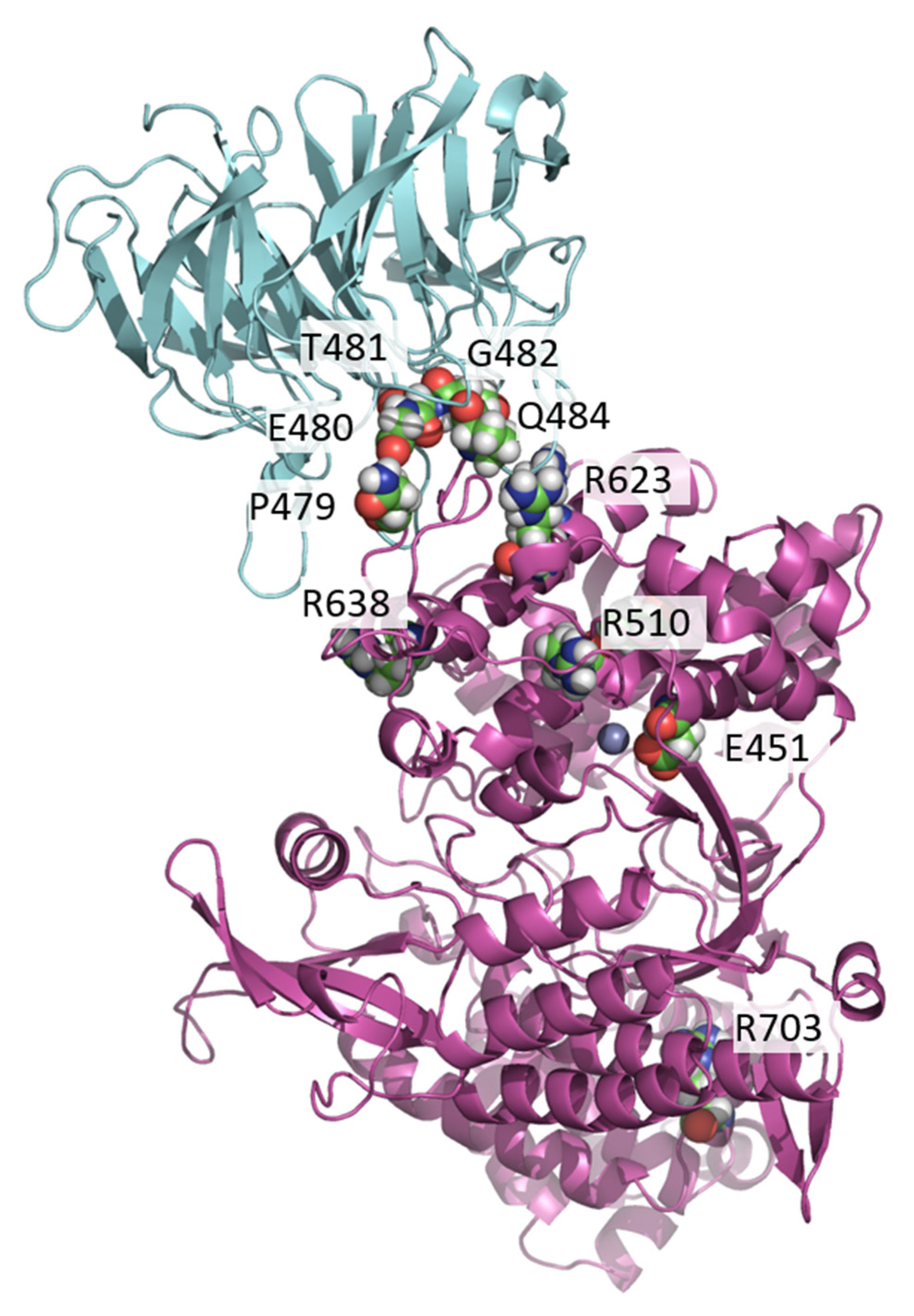 Ijms 23 01994 g001 550