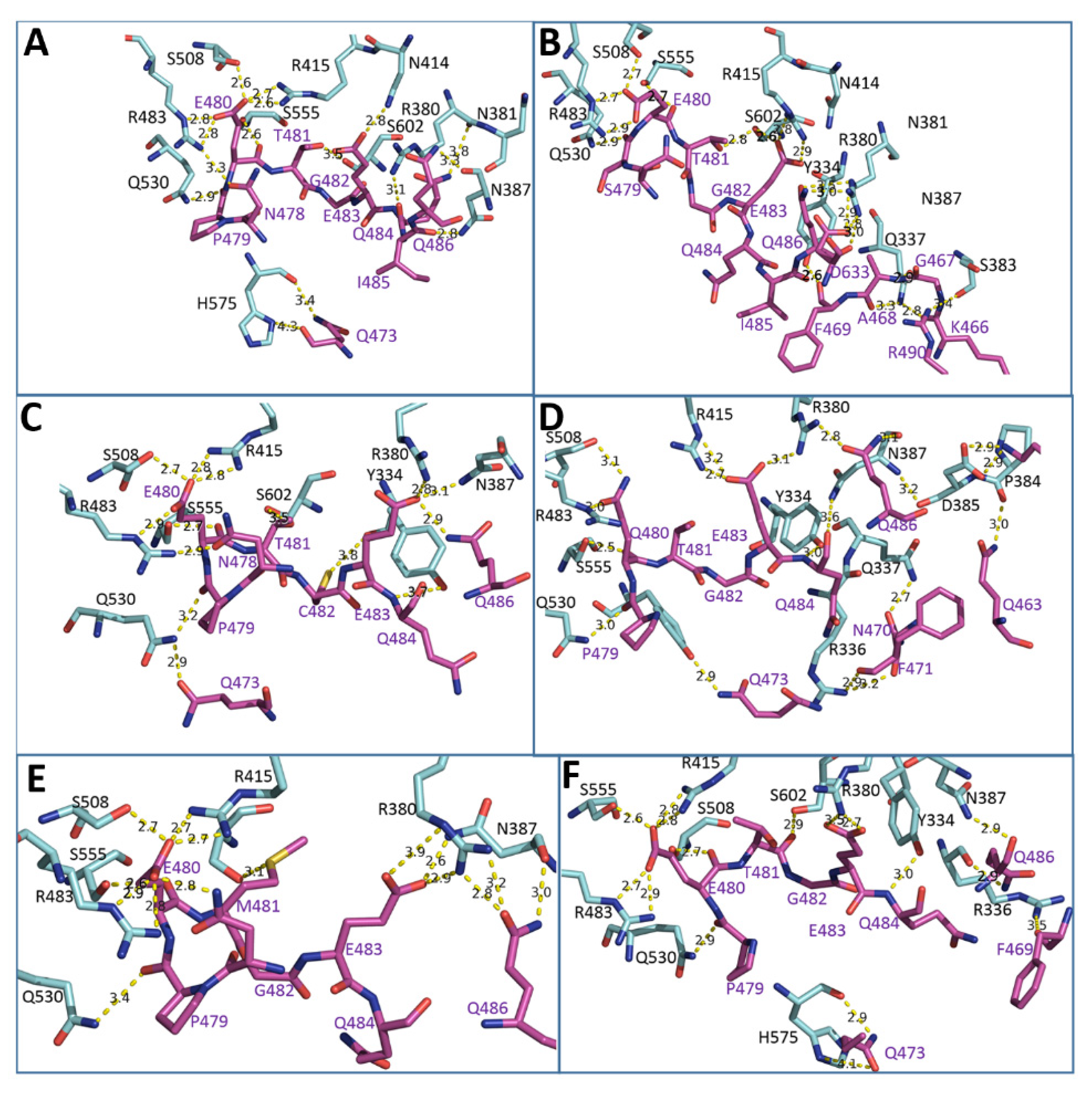 Ijms 23 01994 g003 550