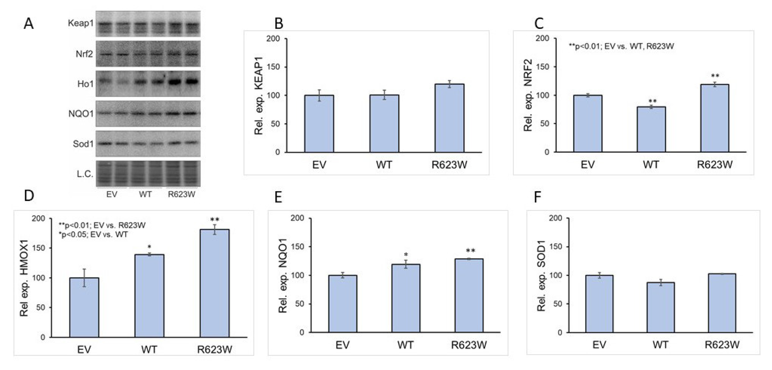 Ijms 23 01994 g005 550