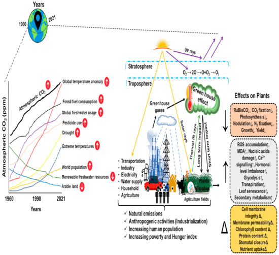 Relative increases in CH4 and CO2 emissions from wetlands
