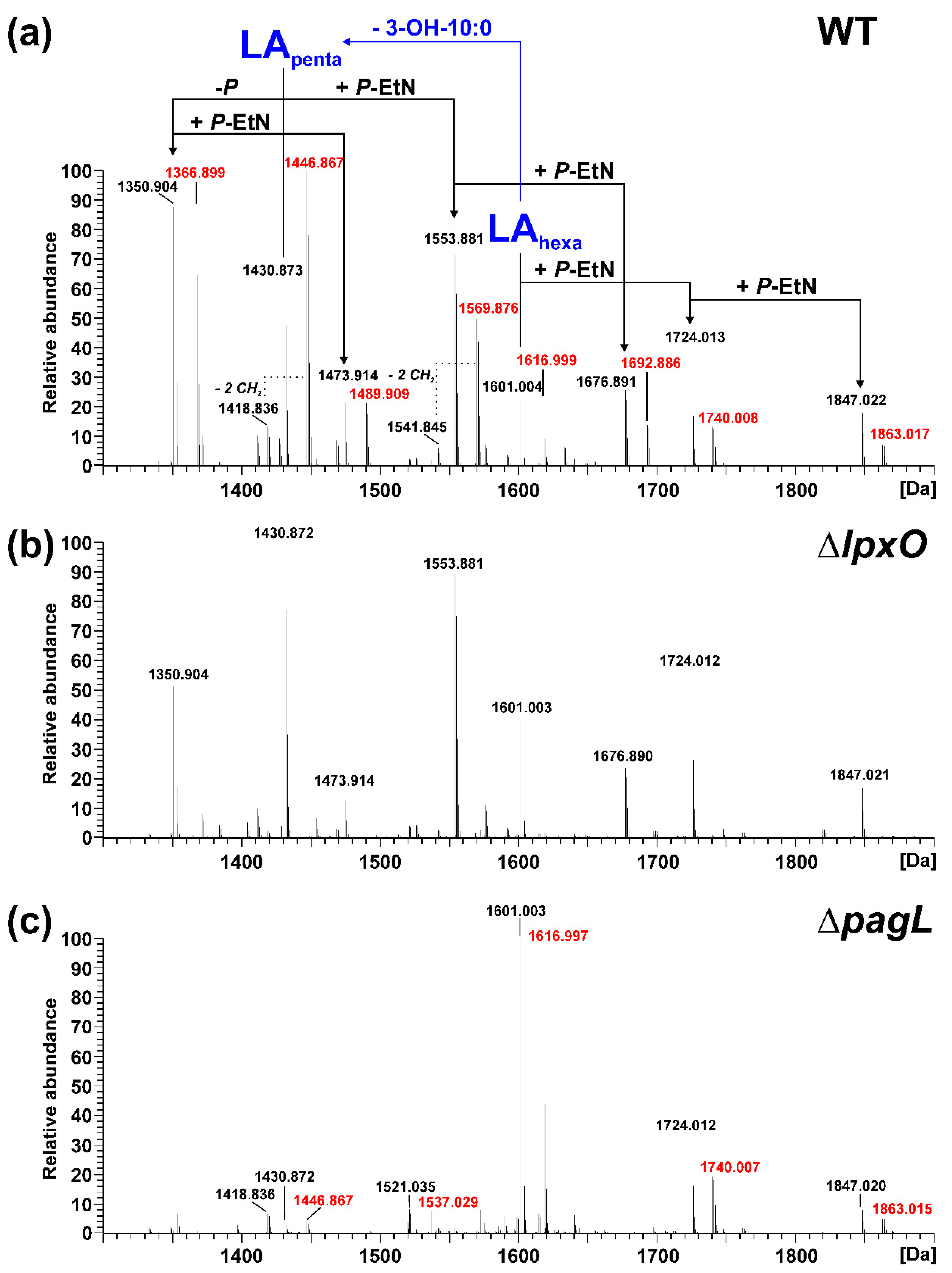 Ijms 23 01996 g002 Ijms 23 01996 g002