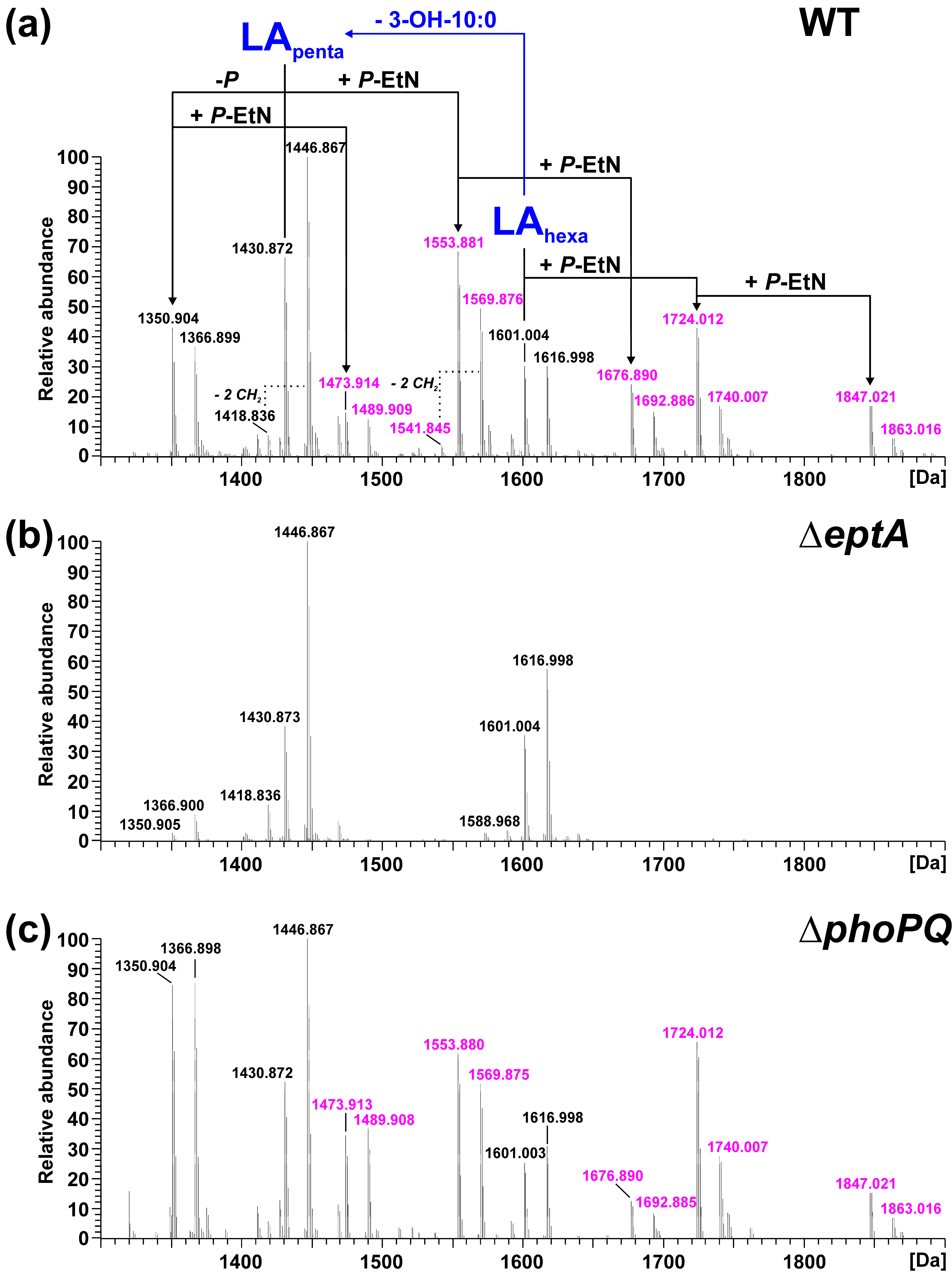 Ijms 23 01996 g003 Ijms 23 01996 g003