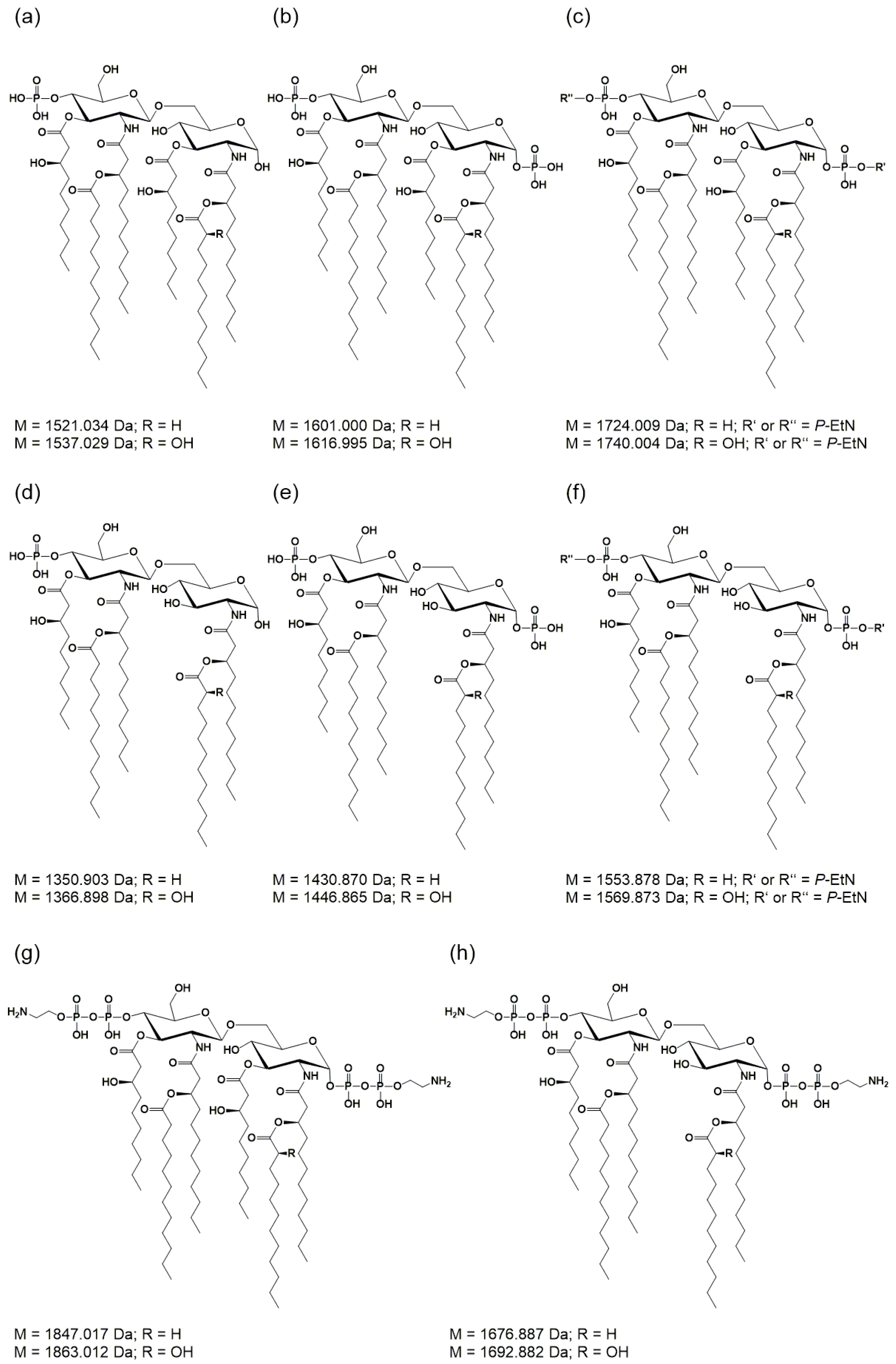Ijms 23 01996 g004 Ijms 23 01996 g004