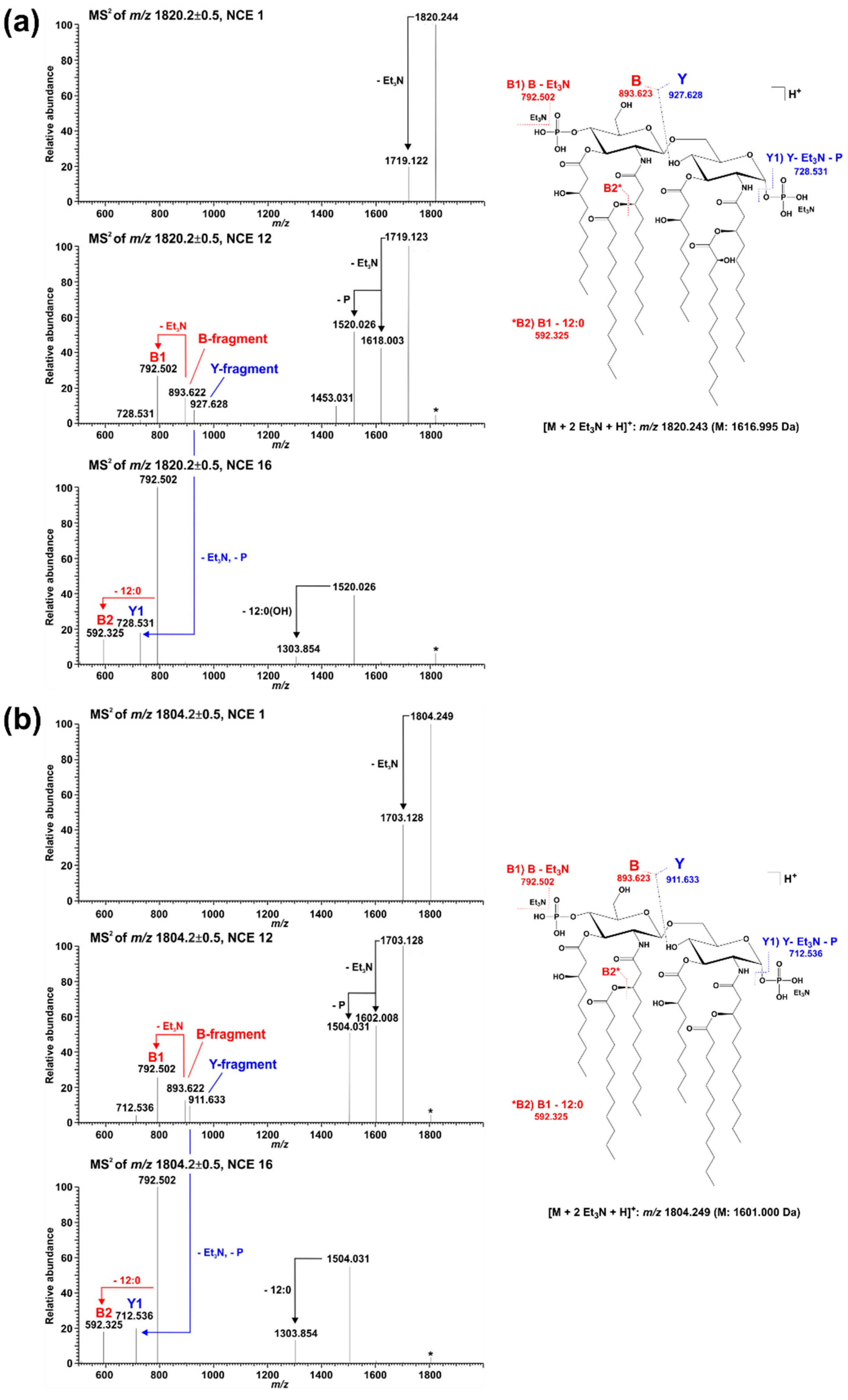 Ijms 23 01996 g005 Ijms 23 01996 g005