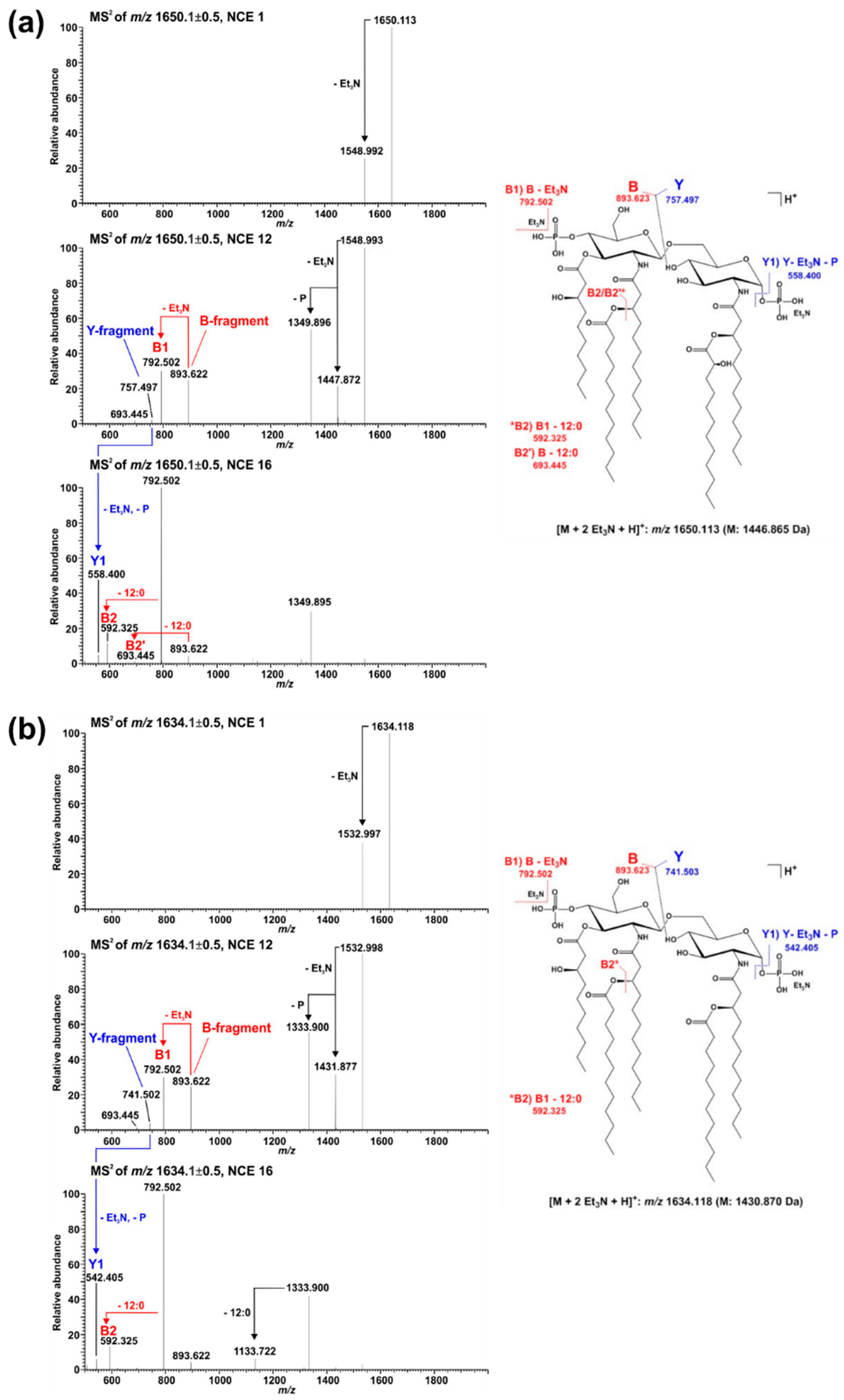 Ijms 23 01996 g006 Ijms 23 01996 g006