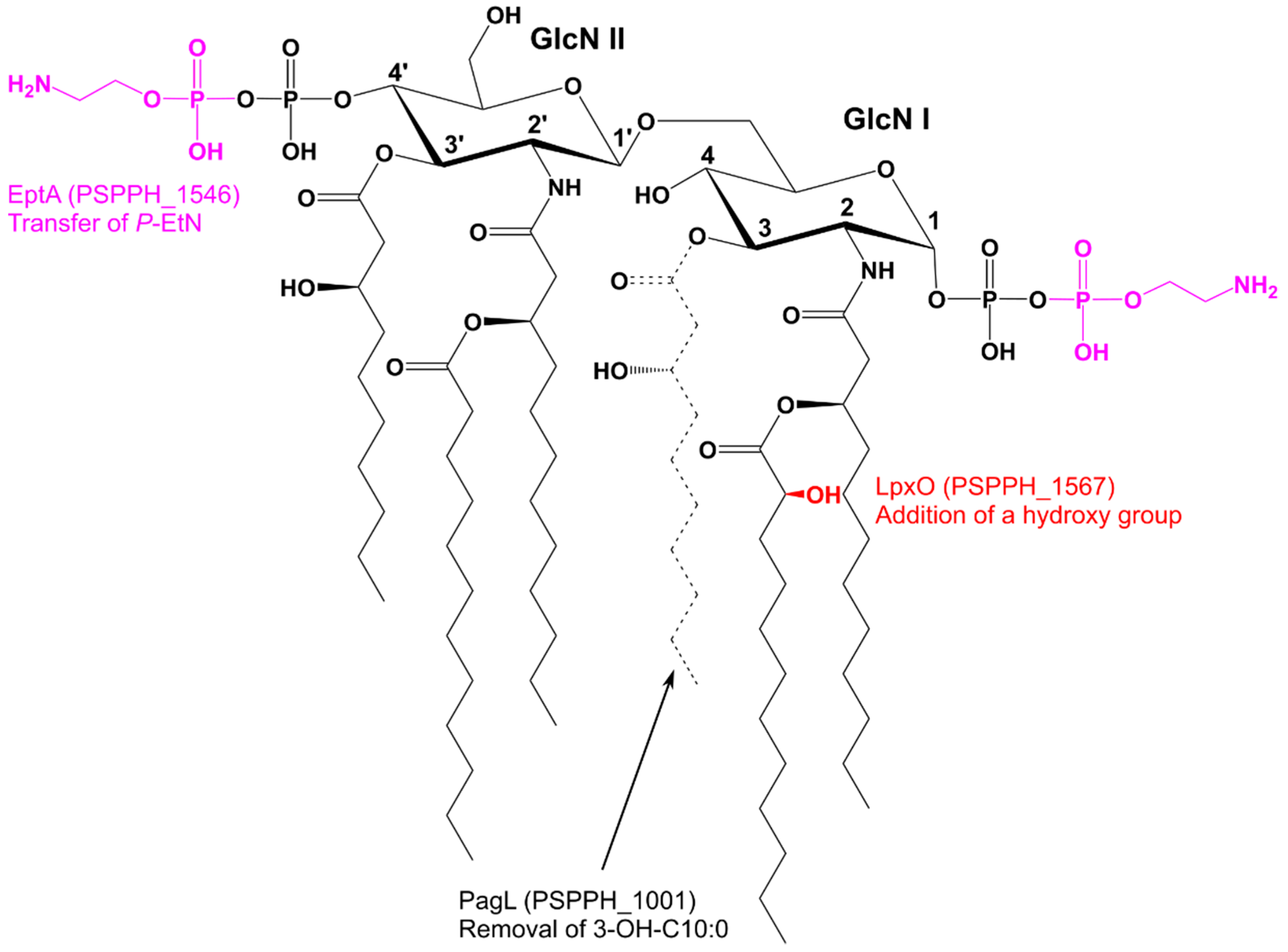 Ijms 23 01996 g008 Ijms 23 01996 g008