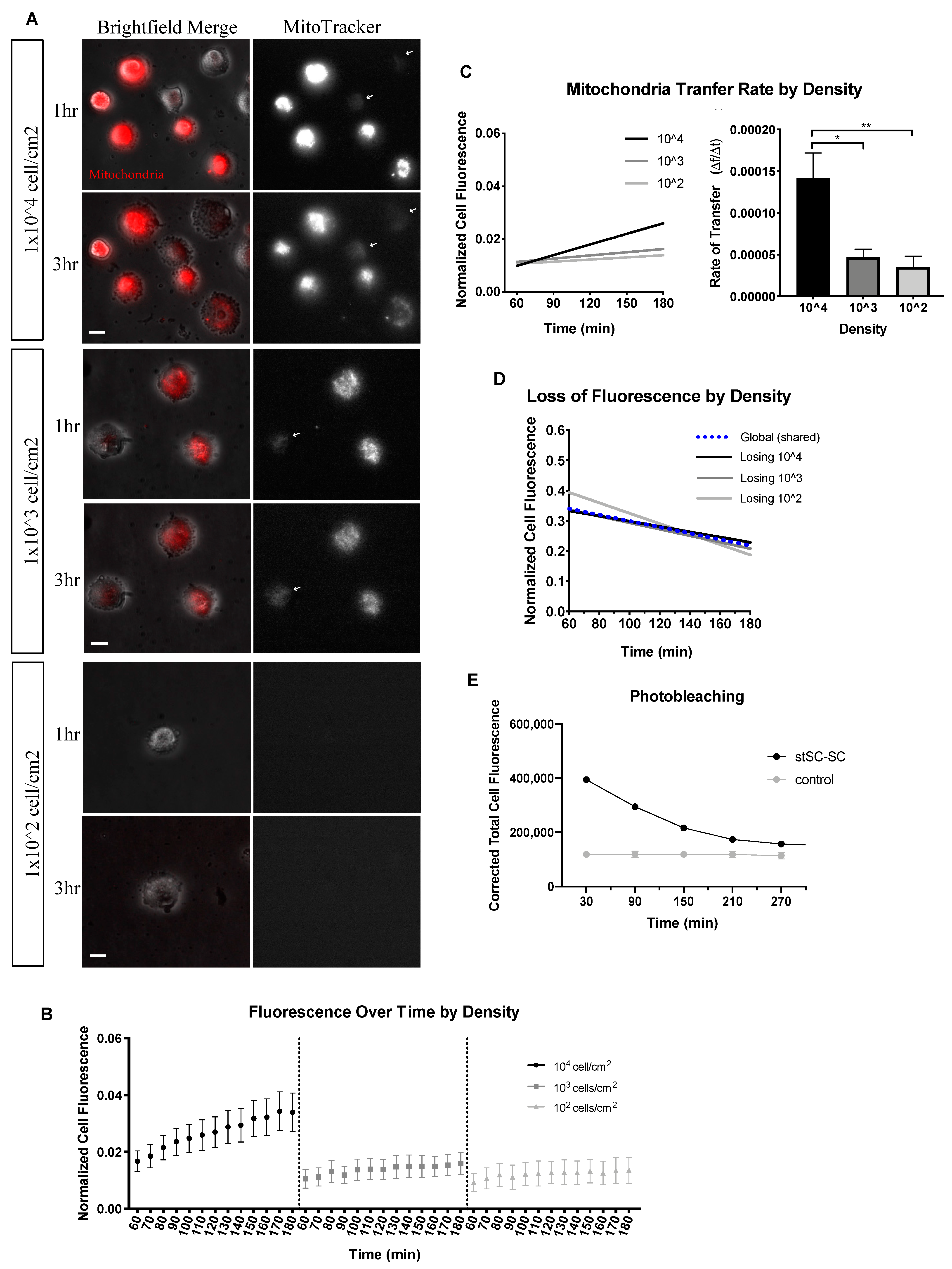 Ijms 23 02003 g001 Ijms 23 02003 g001