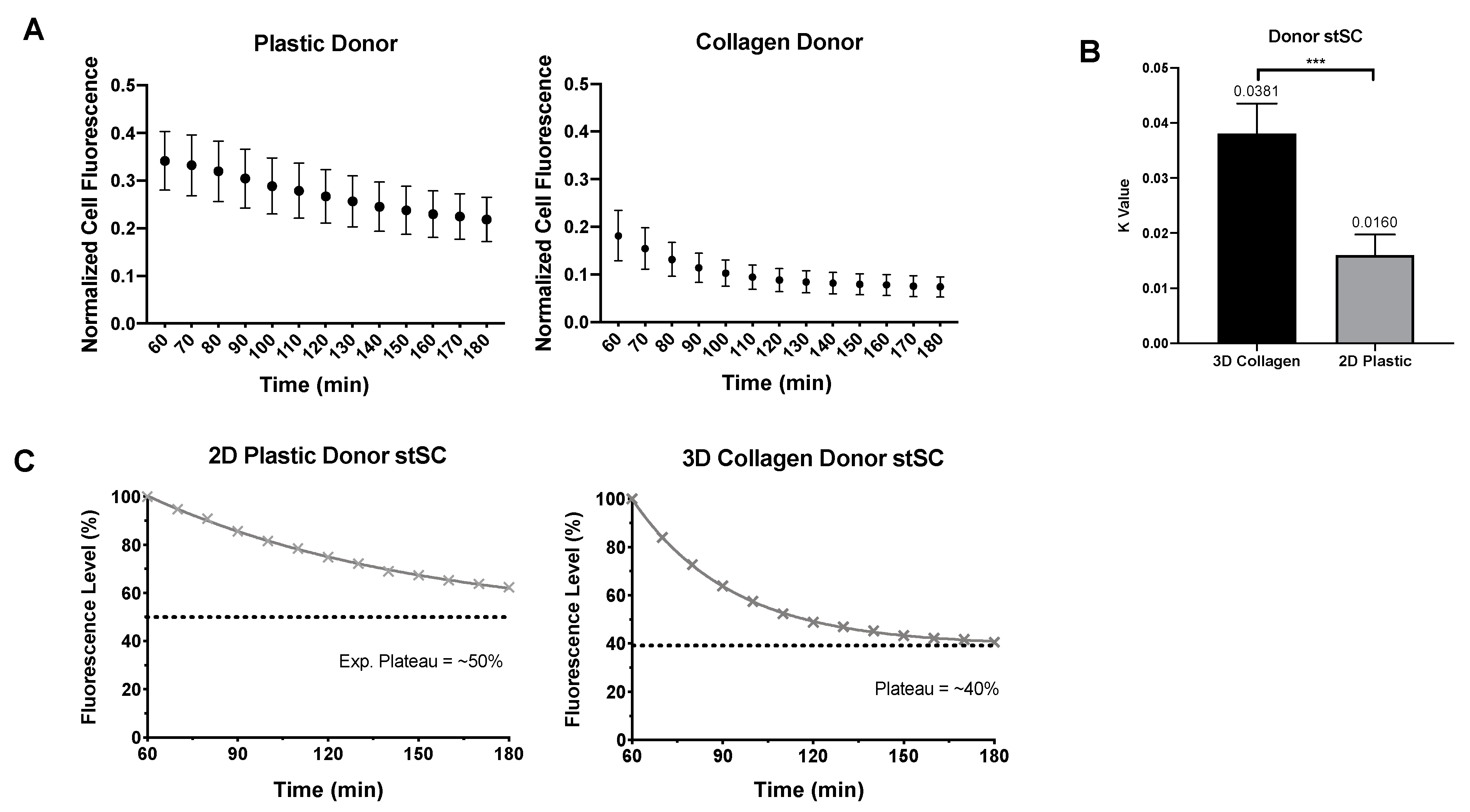 Ijms 23 02003 g005 Ijms 23 02003 g005