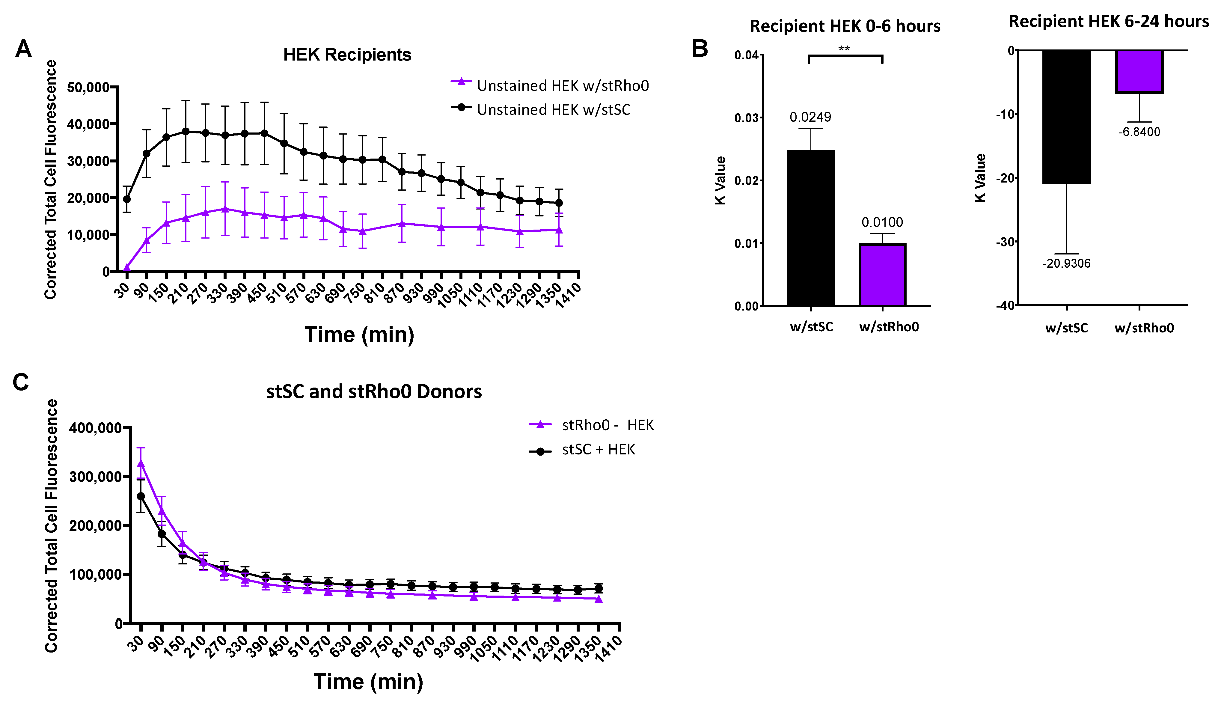 Ijms 23 02003 g007 Ijms 23 02003 g007
