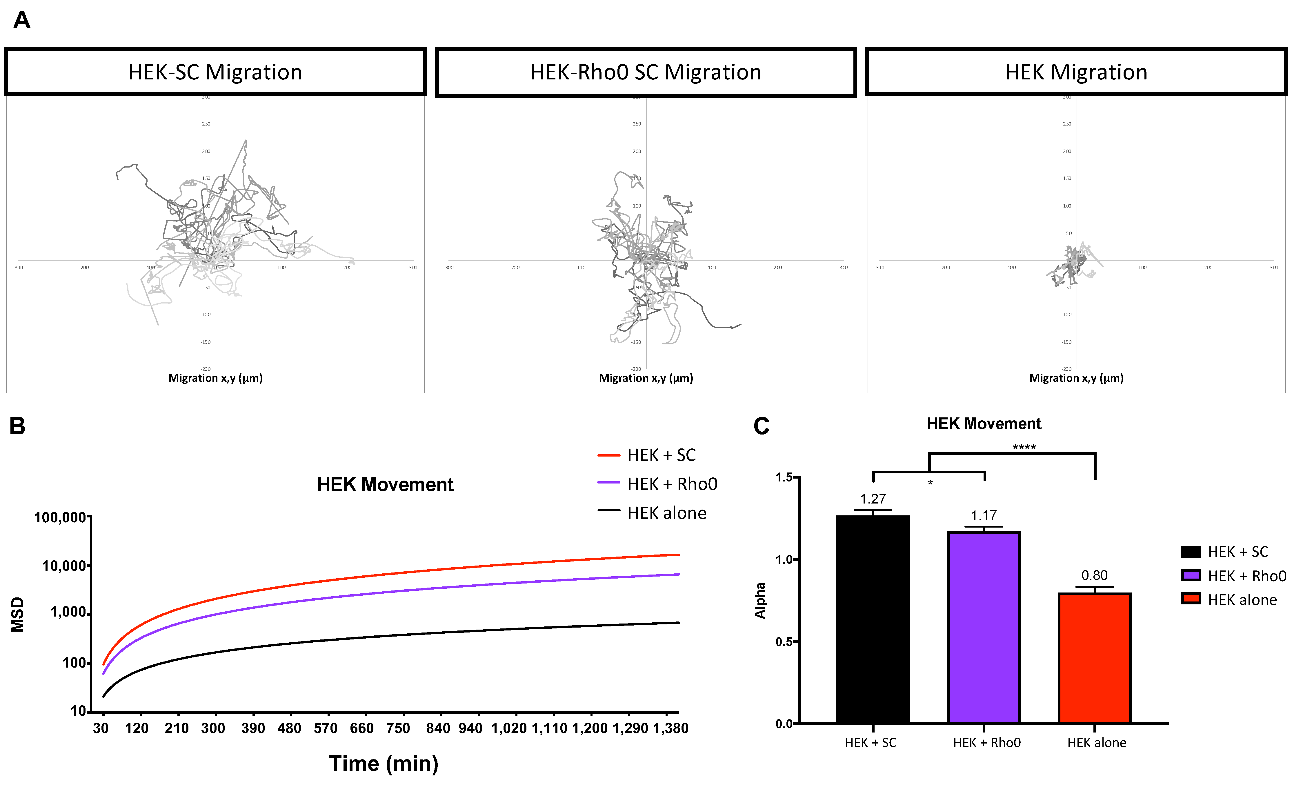 Ijms 23 02003 g008 Ijms 23 02003 g008
