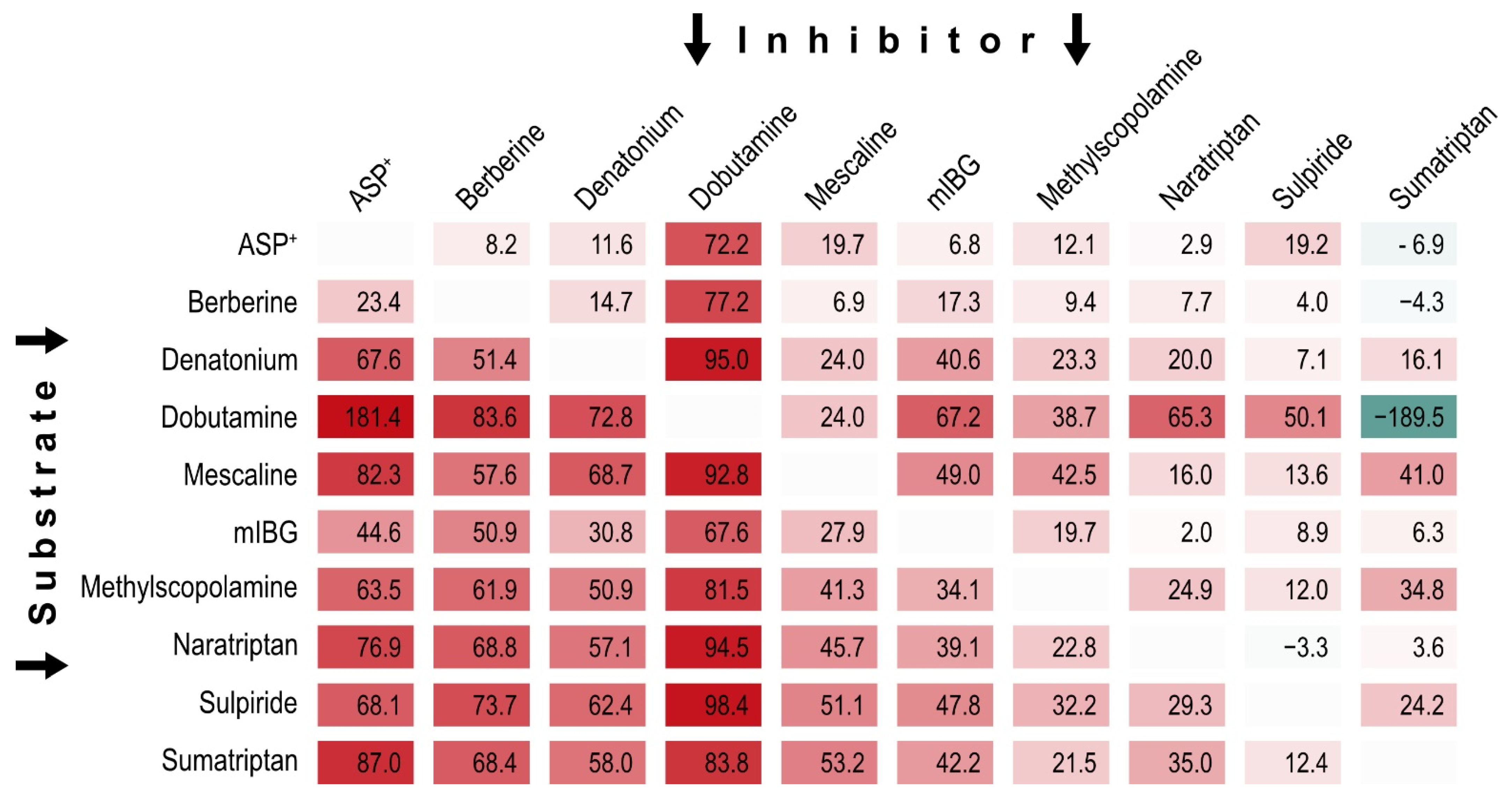 Ijms 23 02007 g006 550
