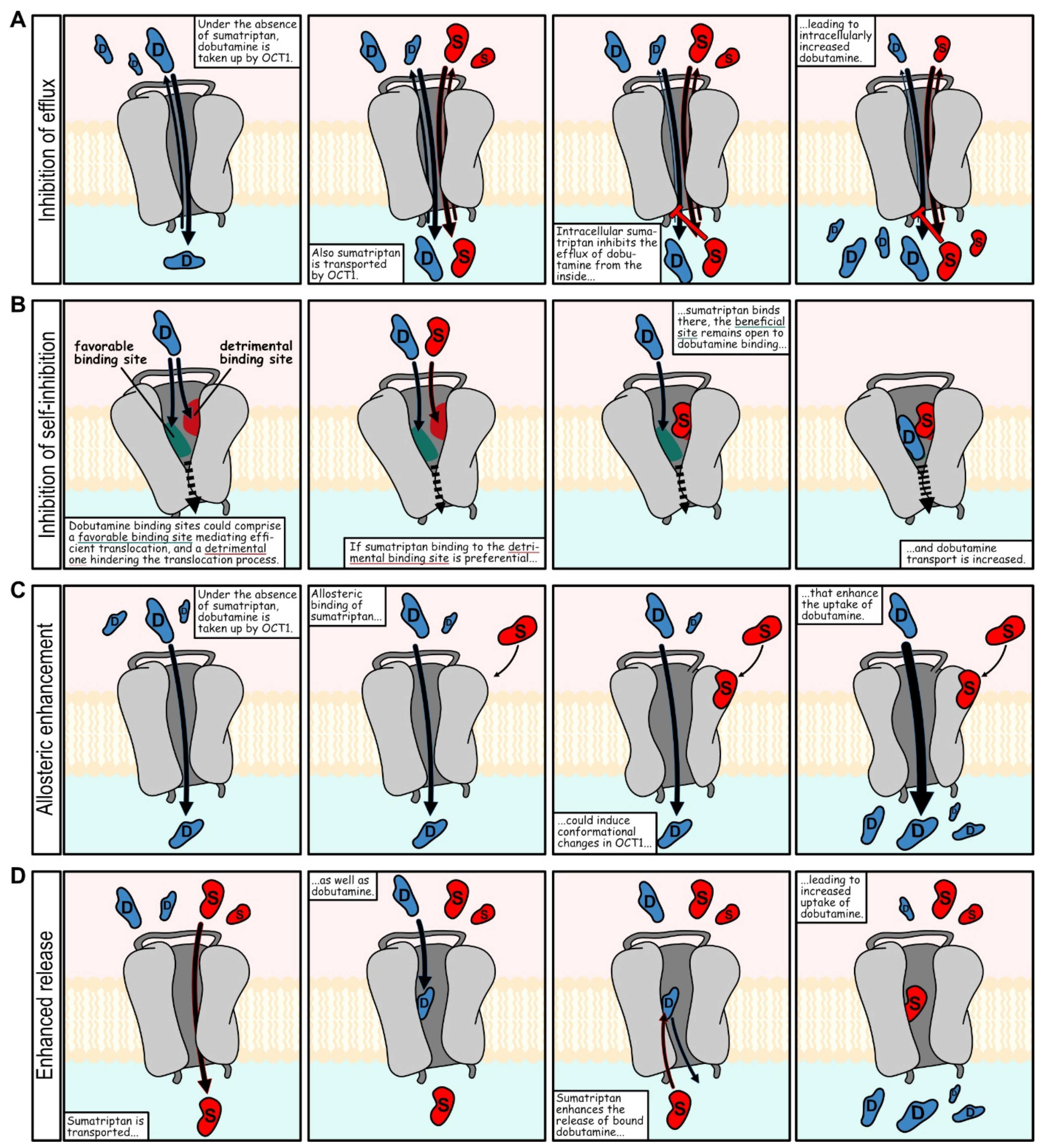 Ijms 23 02007 g010 550