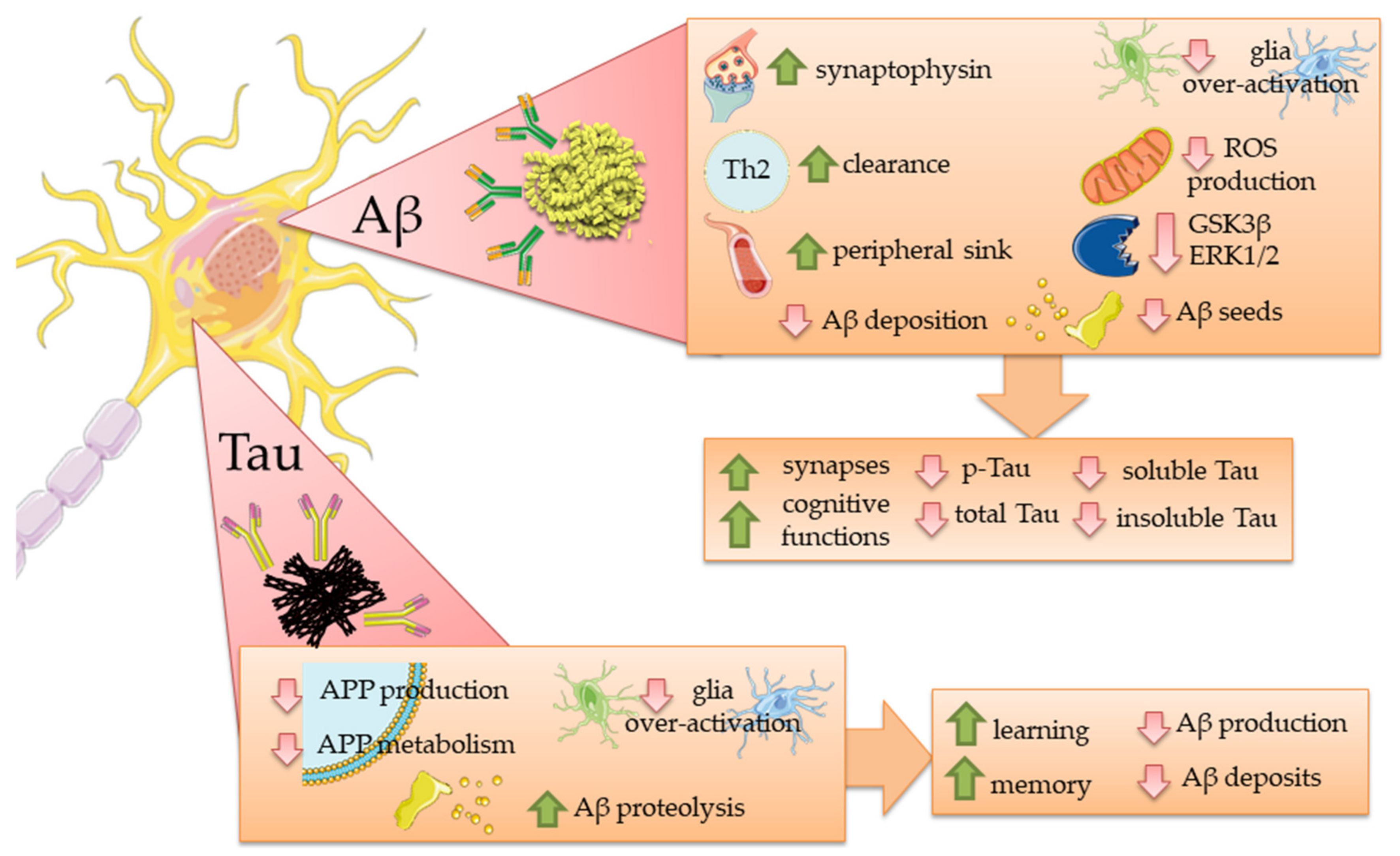 Ijms 23 02011 g002 550