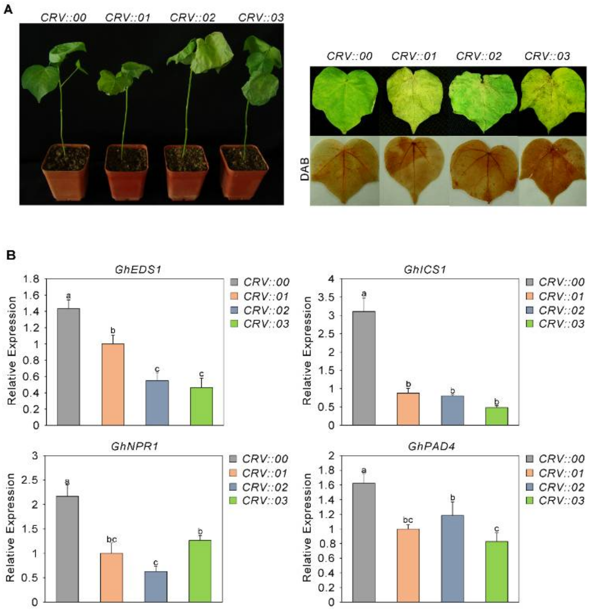 Ijms 23 02014 g001 Ijms 23 02014 g001