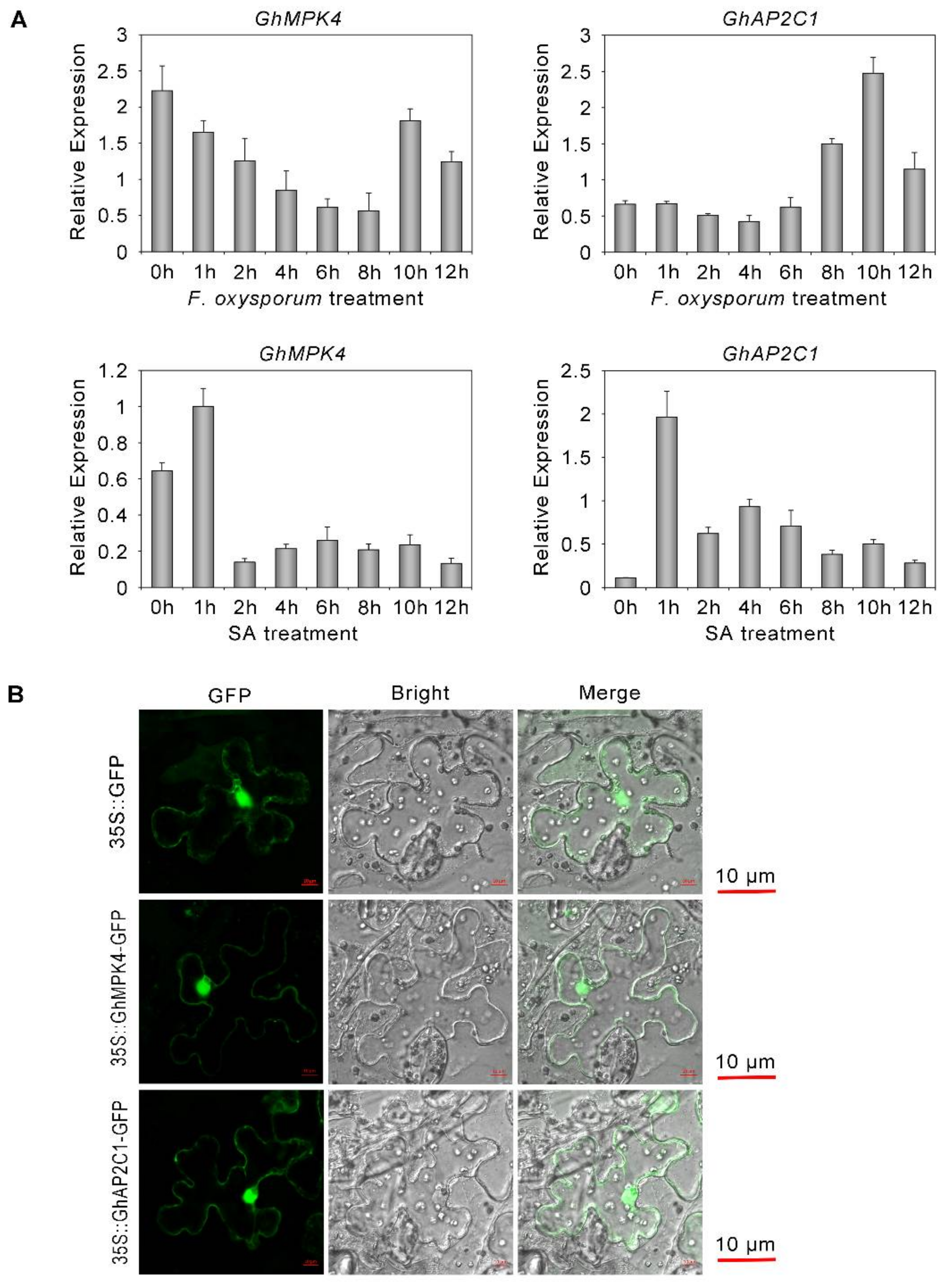 Ijms 23 02014 g005 Ijms 23 02014 g005