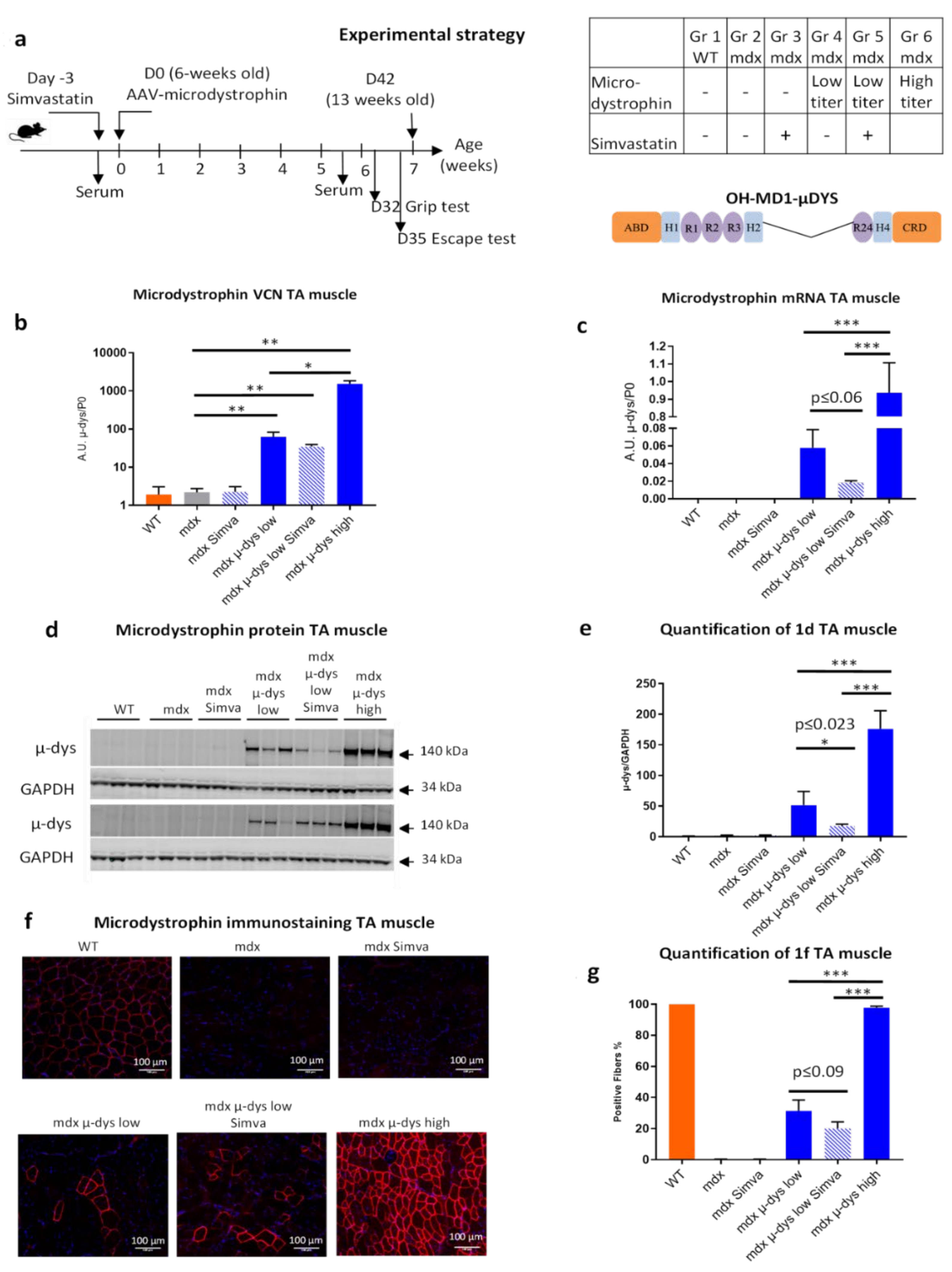 Ijms 23 02016 g001 550