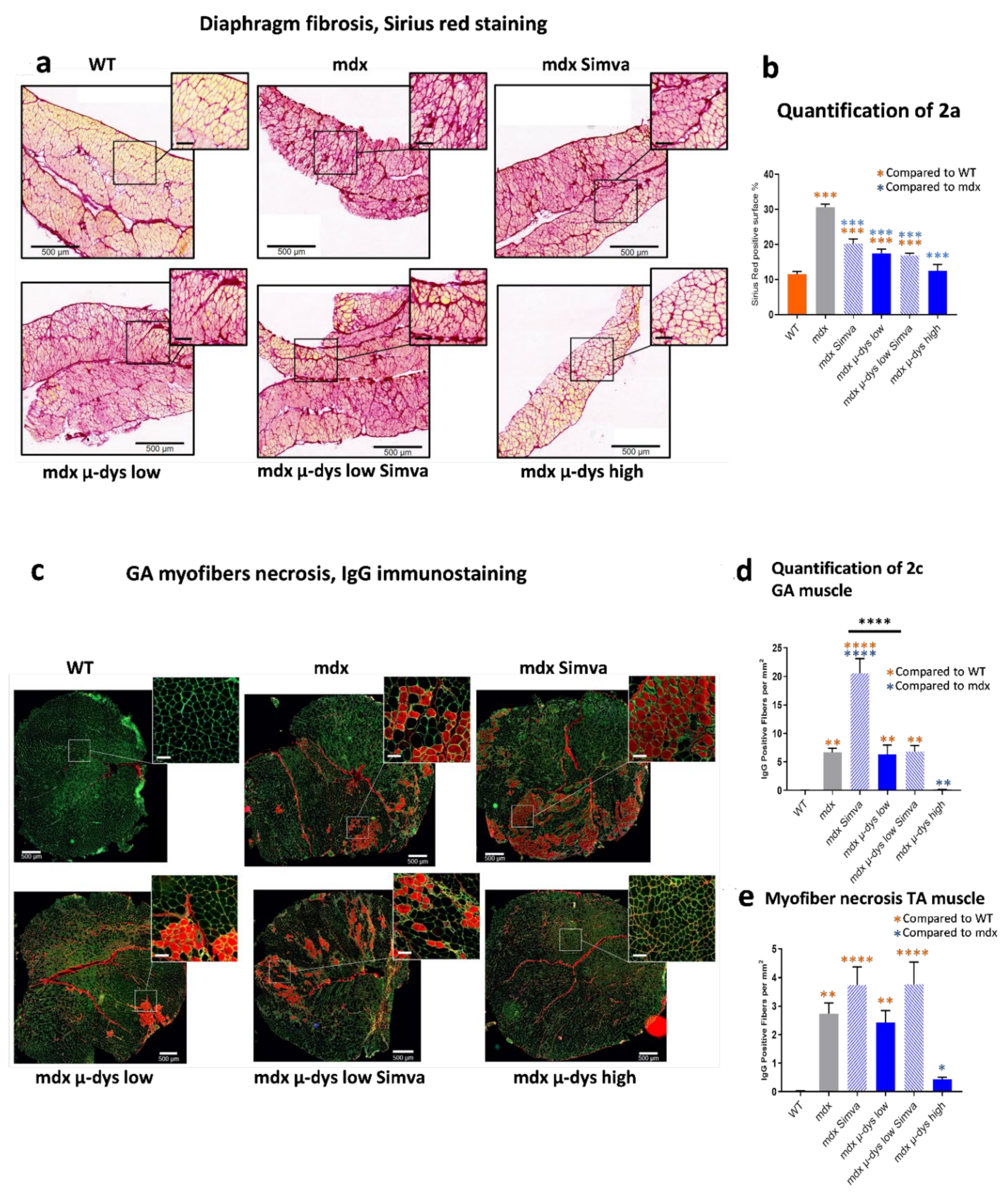 Ijms 23 02016 g002 550