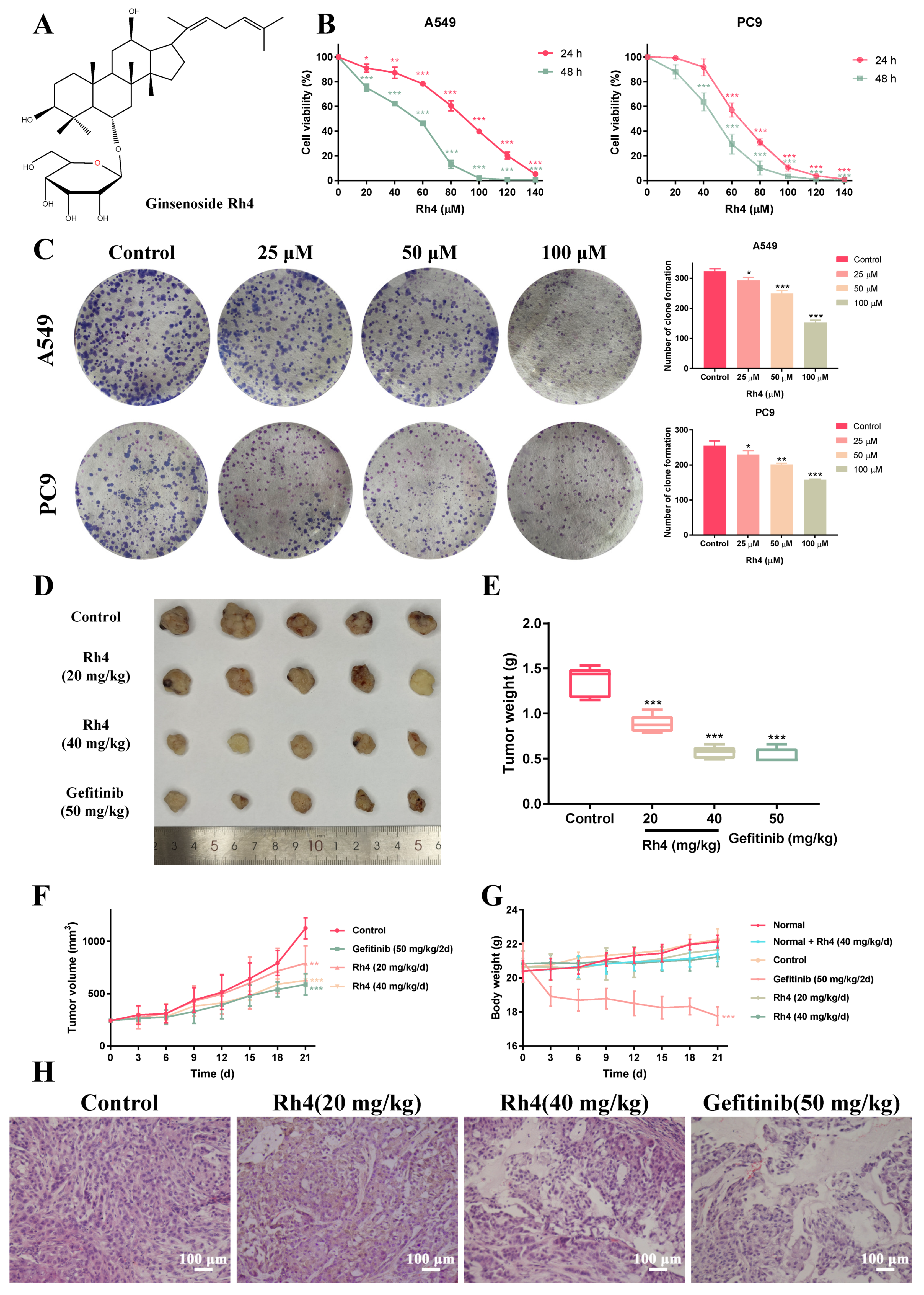 Ijms 23 02018 g001 Ijms 23 02018 g001
