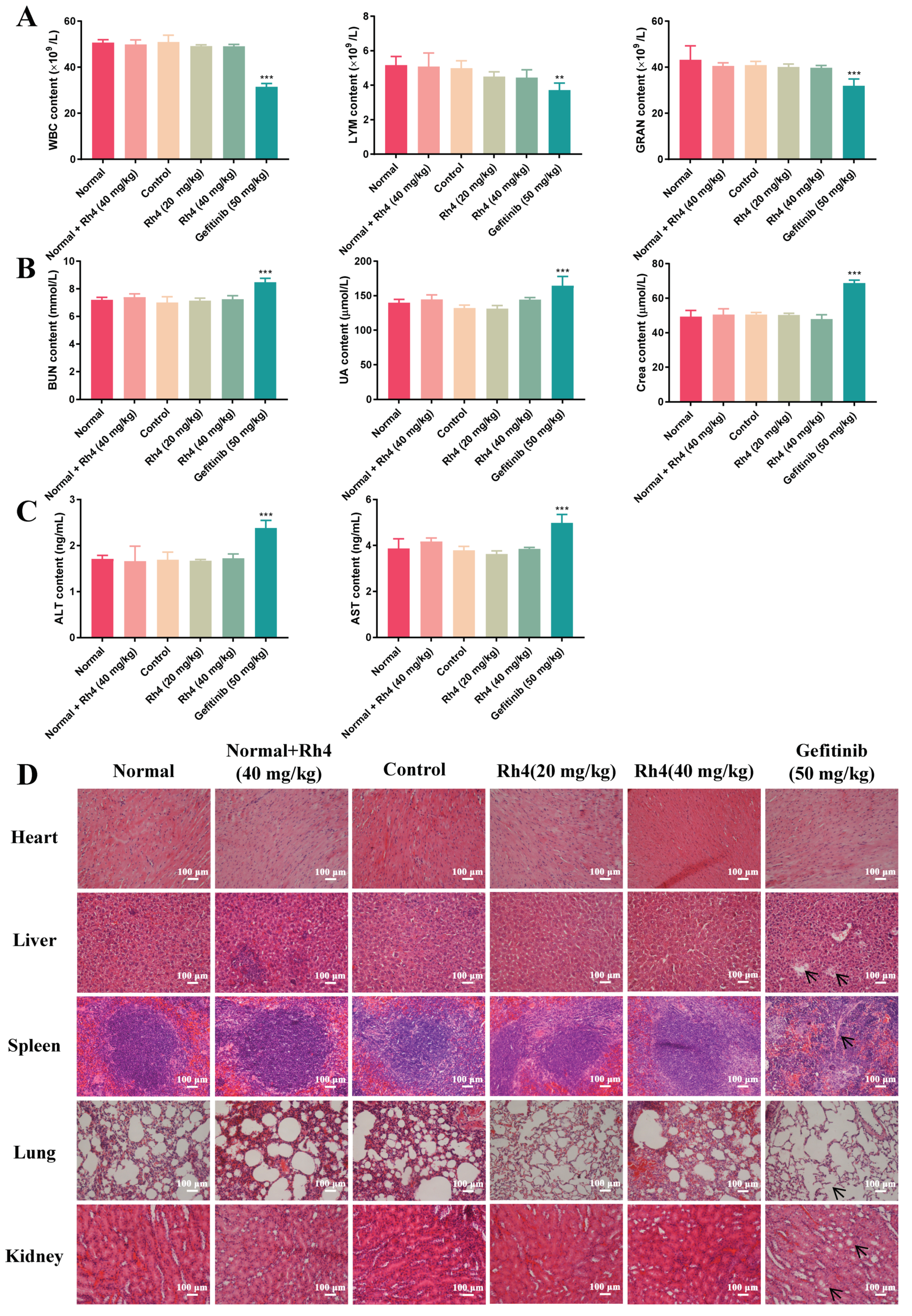 Ijms 23 02018 g002 Ijms 23 02018 g002