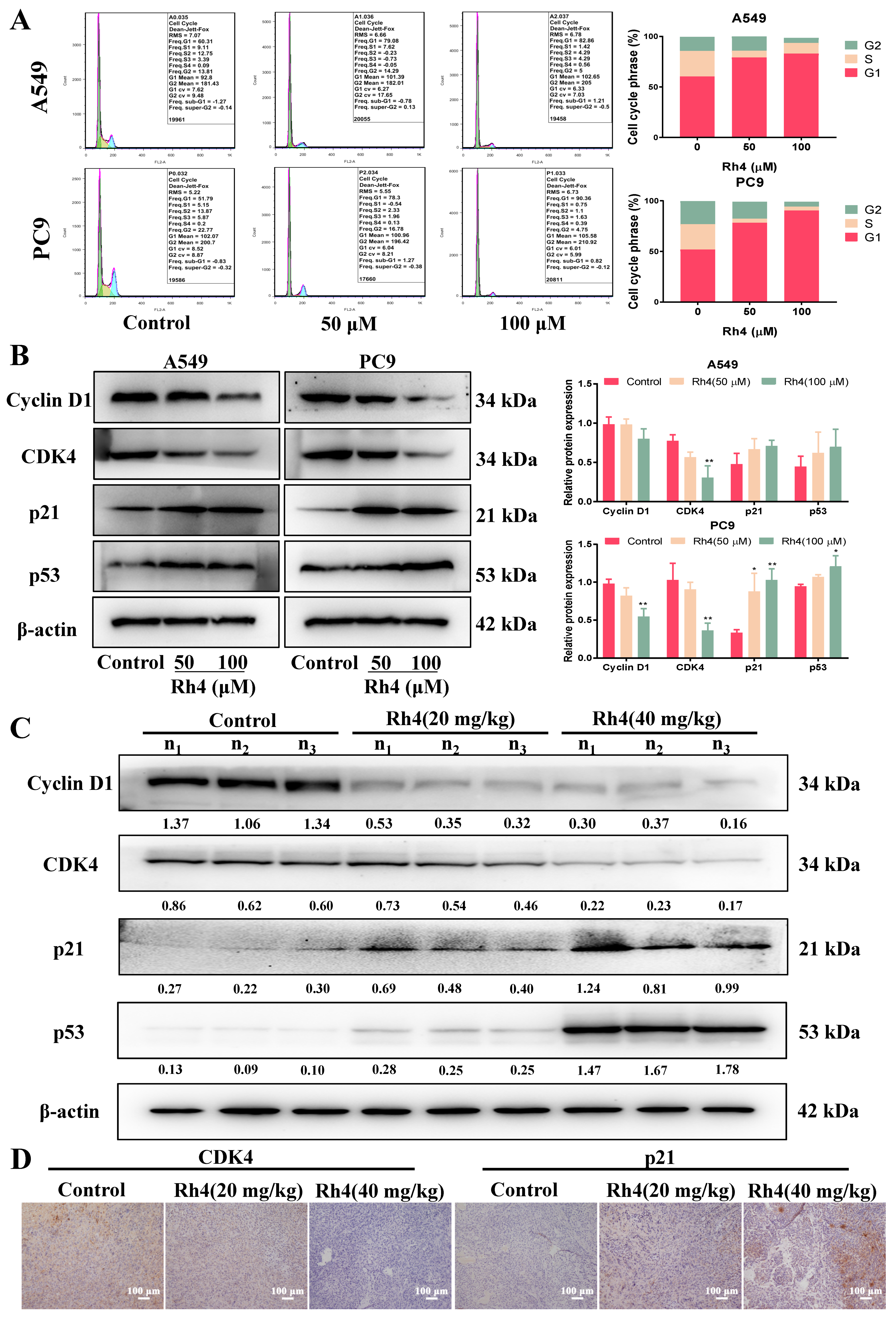 Ijms 23 02018 g003 Ijms 23 02018 g003