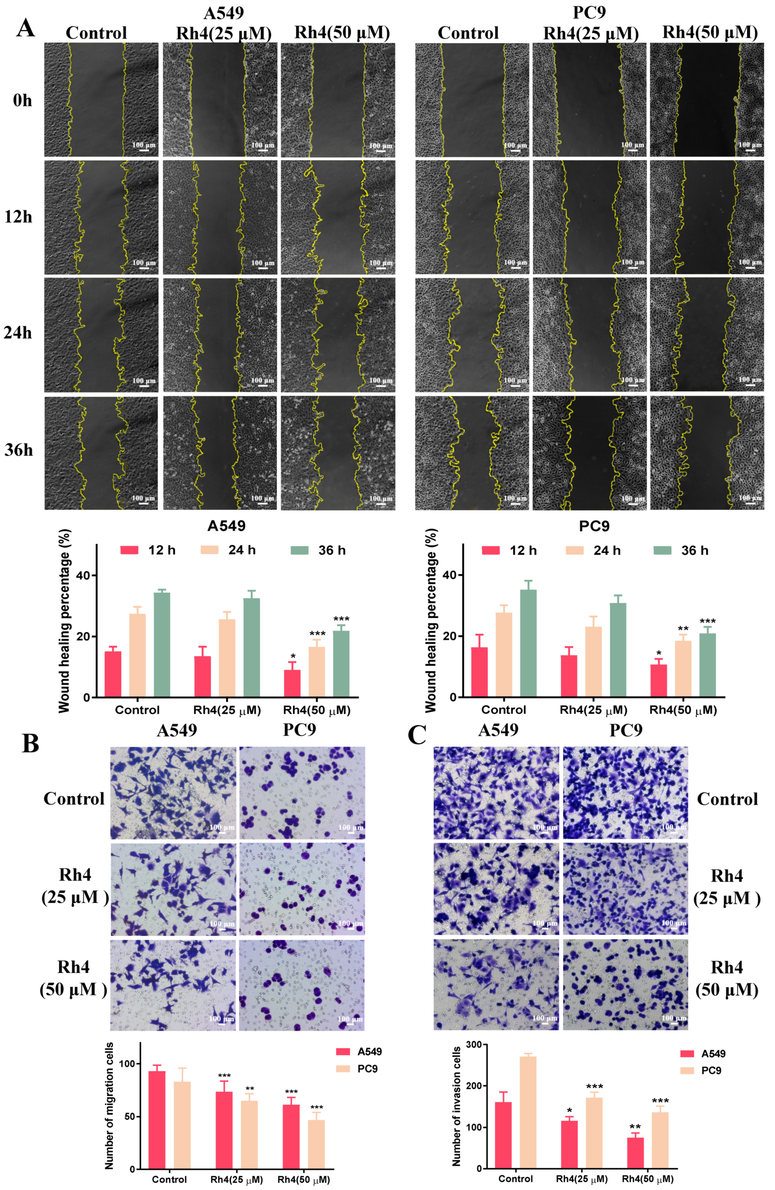 Ijms 23 02018 g004 Ijms 23 02018 g004