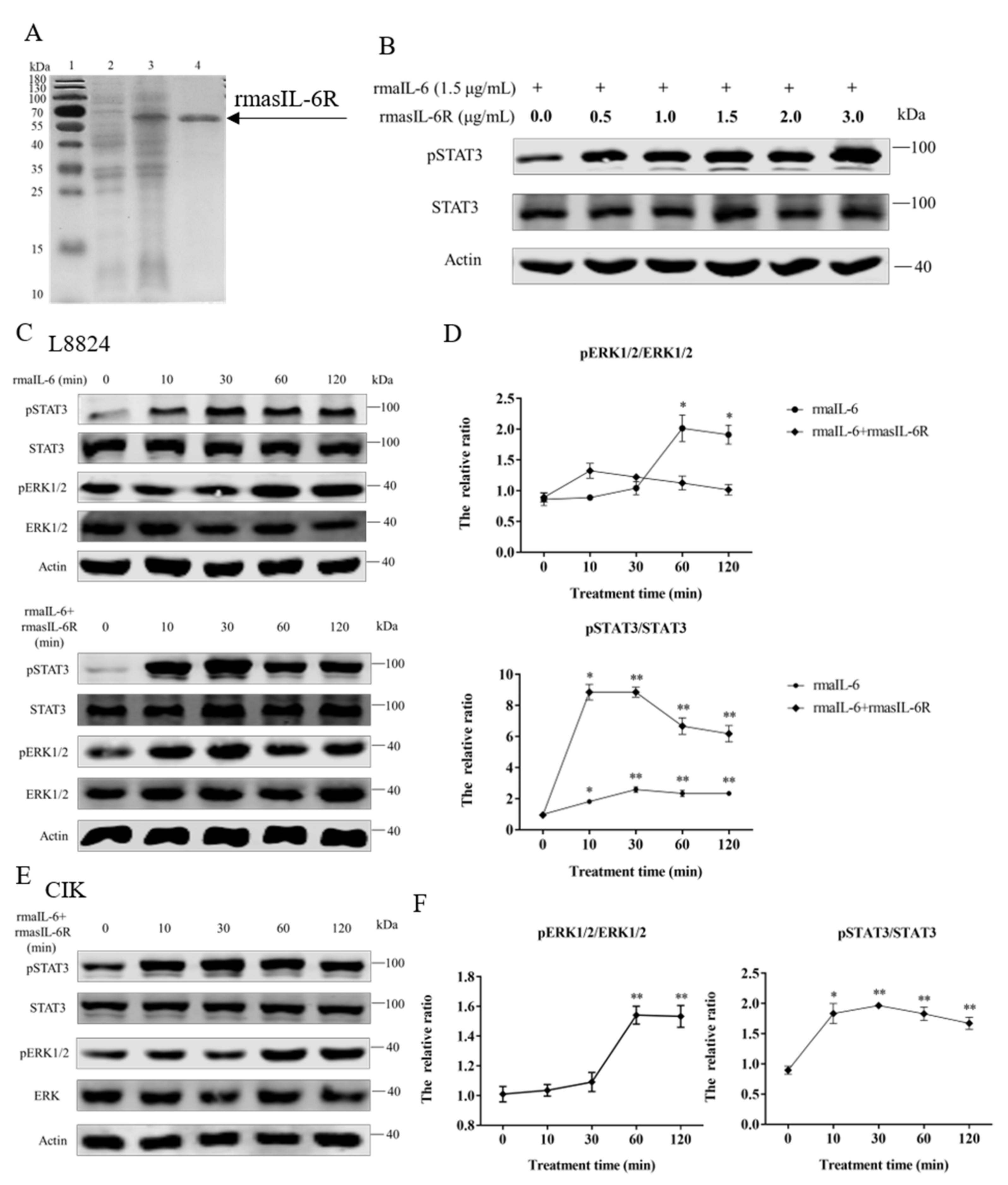 Ijms 23 02019 g003