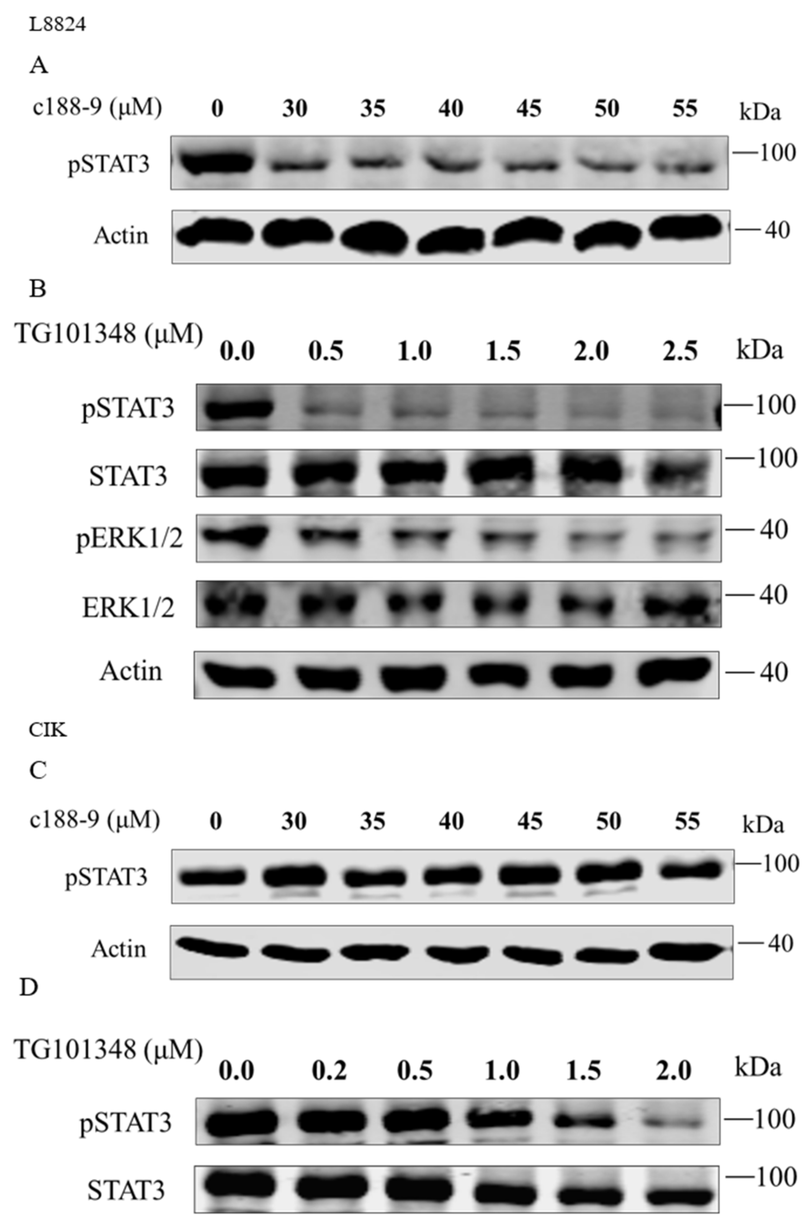 Ijms 23 02019 g006