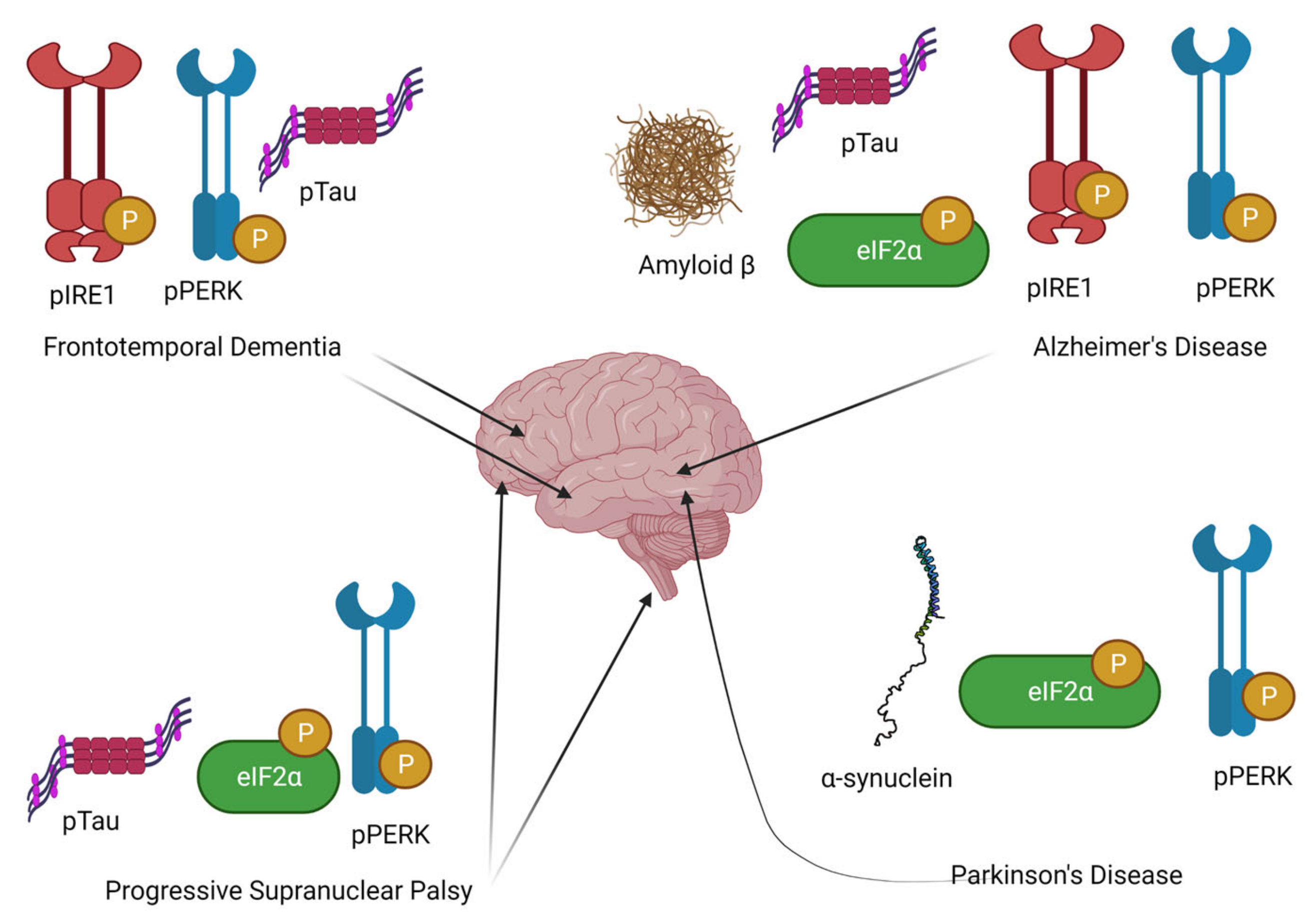 Ijms 23 02021 g001 Ijms 23 02021 g001
