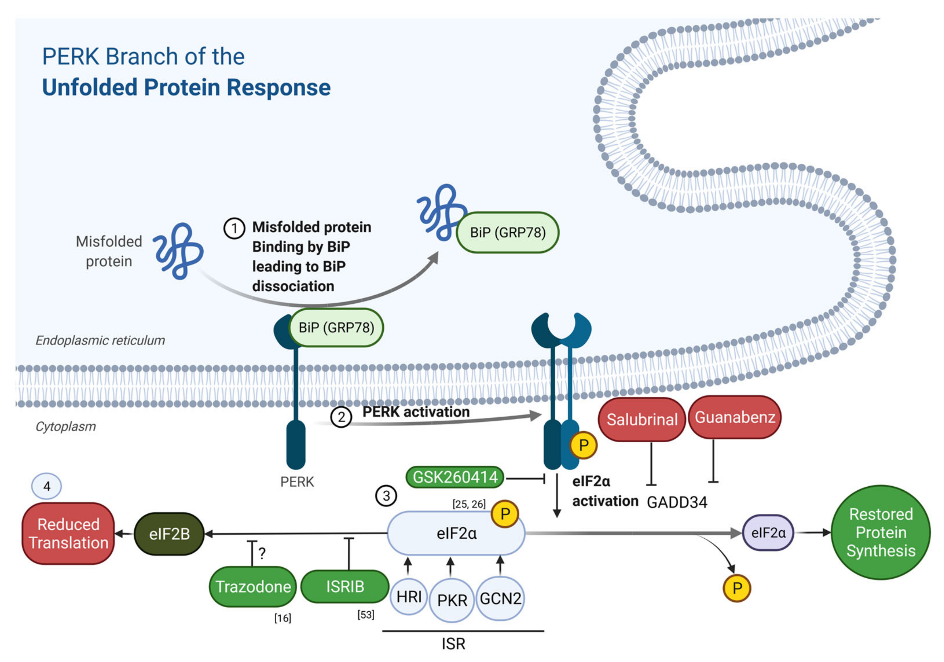 Ijms 23 02021 g002 Ijms 23 02021 g002