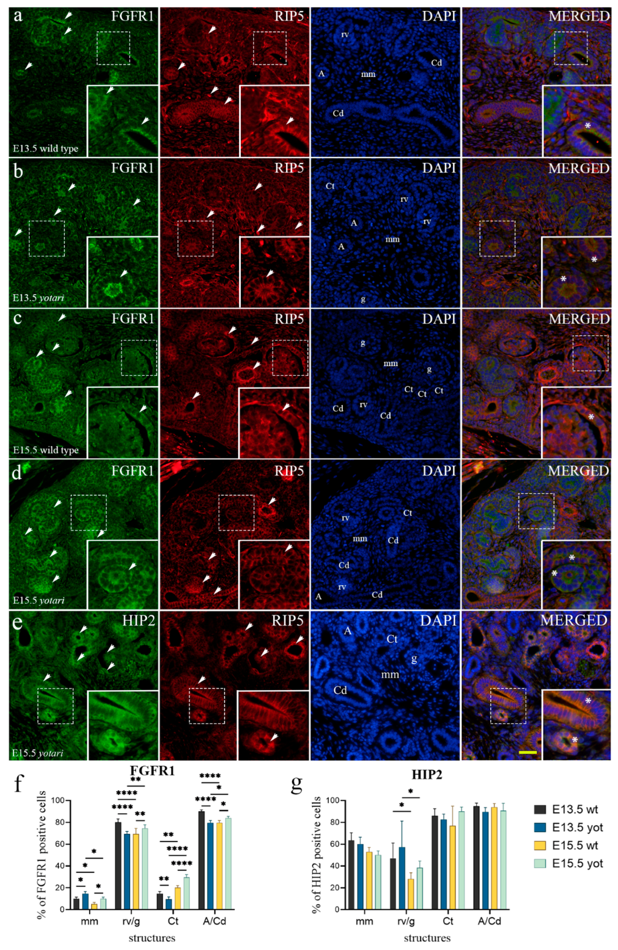 Ijms 23 02025 g001 Ijms 23 02025 g001