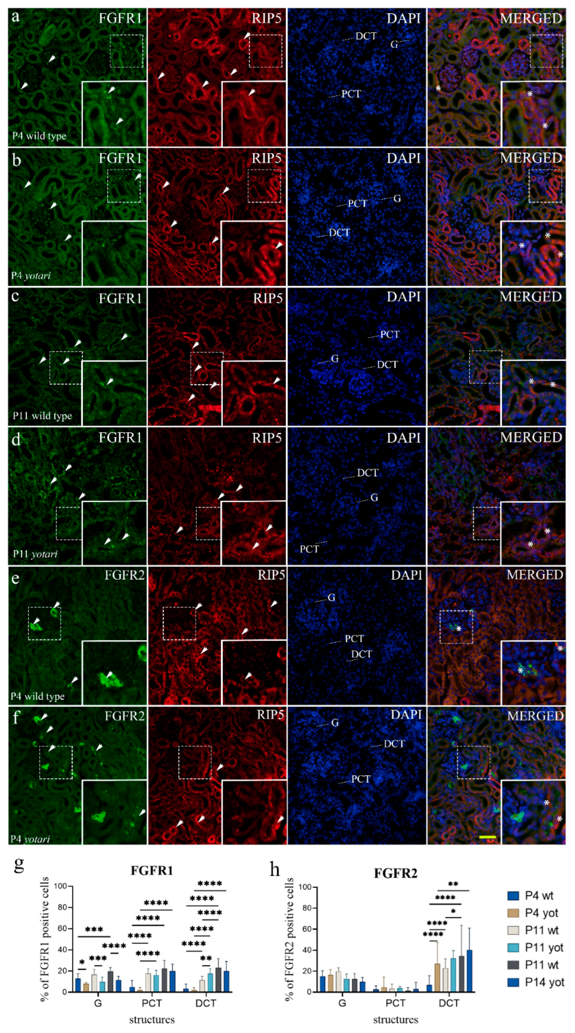 Ijms 23 02025 g002 Ijms 23 02025 g002