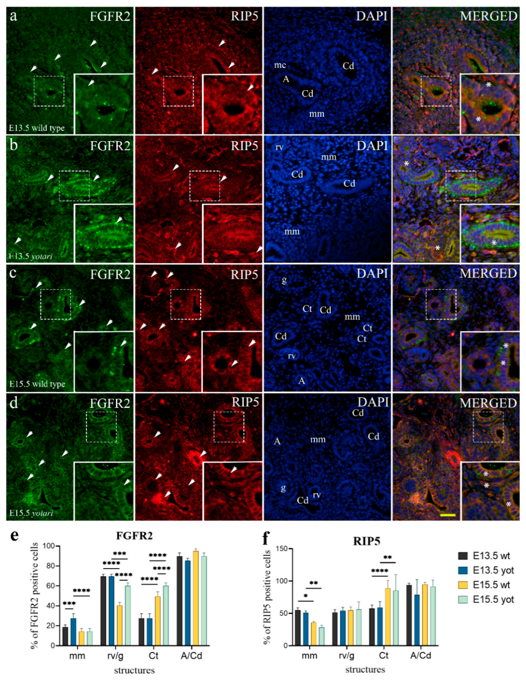 Ijms 23 02025 g003 Ijms 23 02025 g003