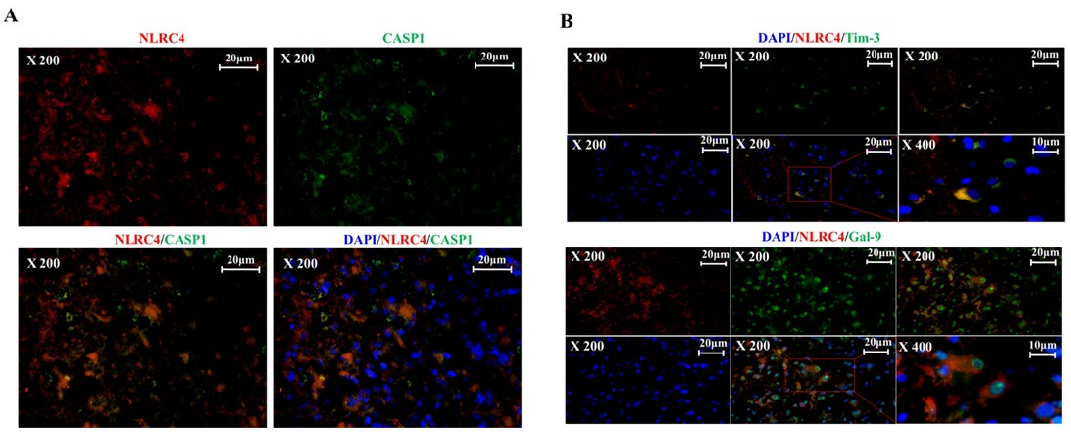 Ijms 23 02028 g003a 550