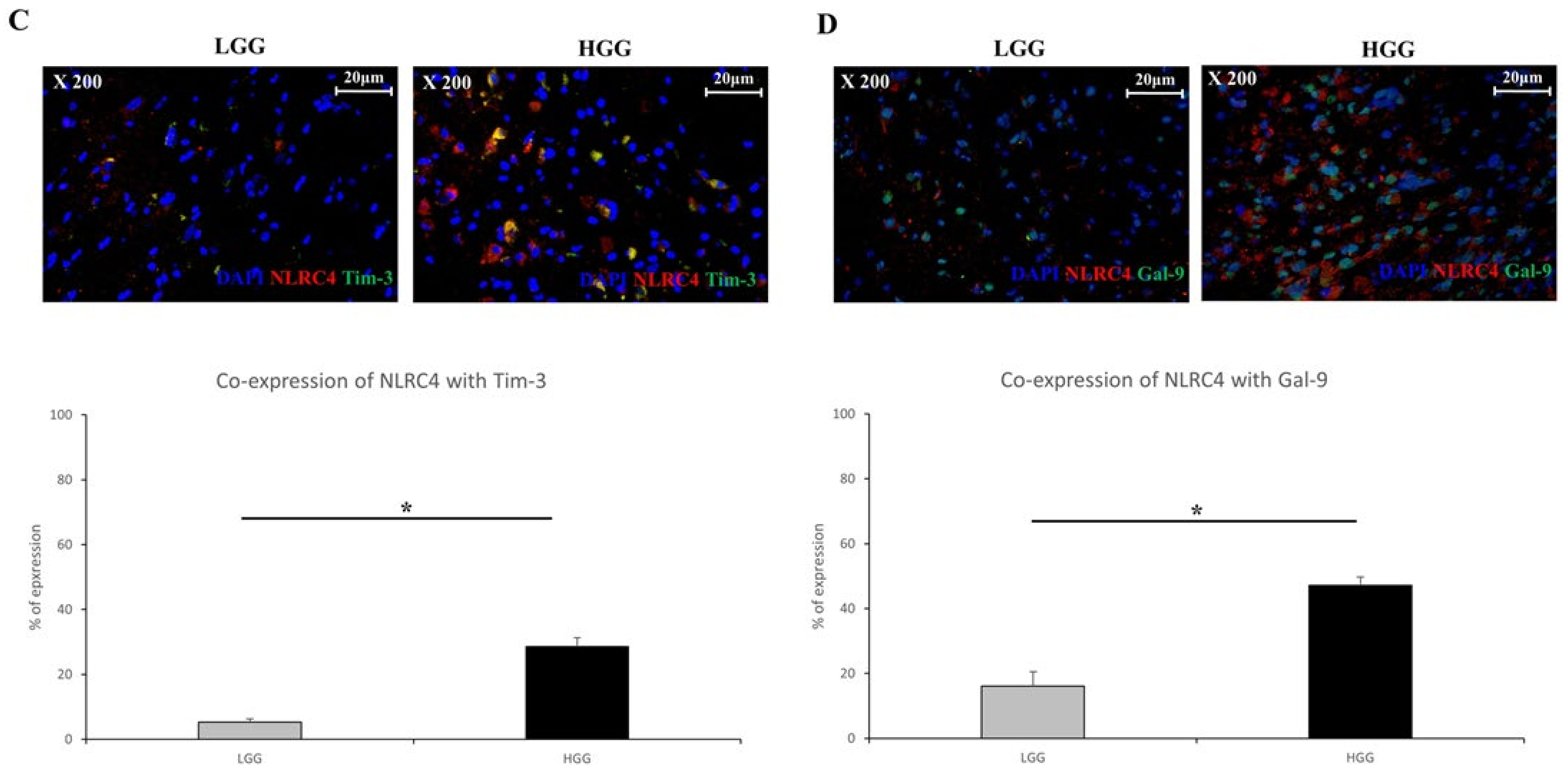 Ijms 23 02028 g003b 550