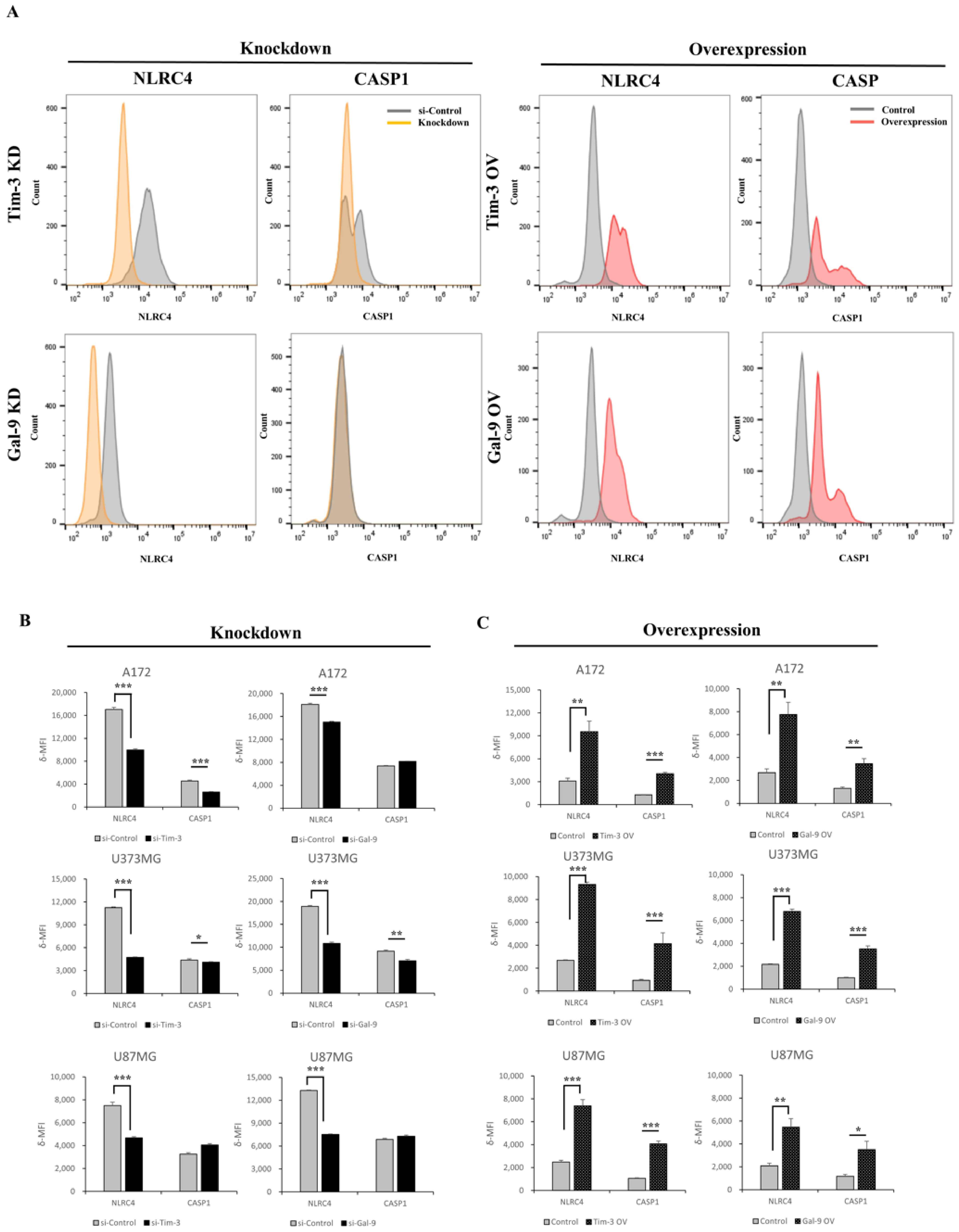 Ijms 23 02028 g004 550