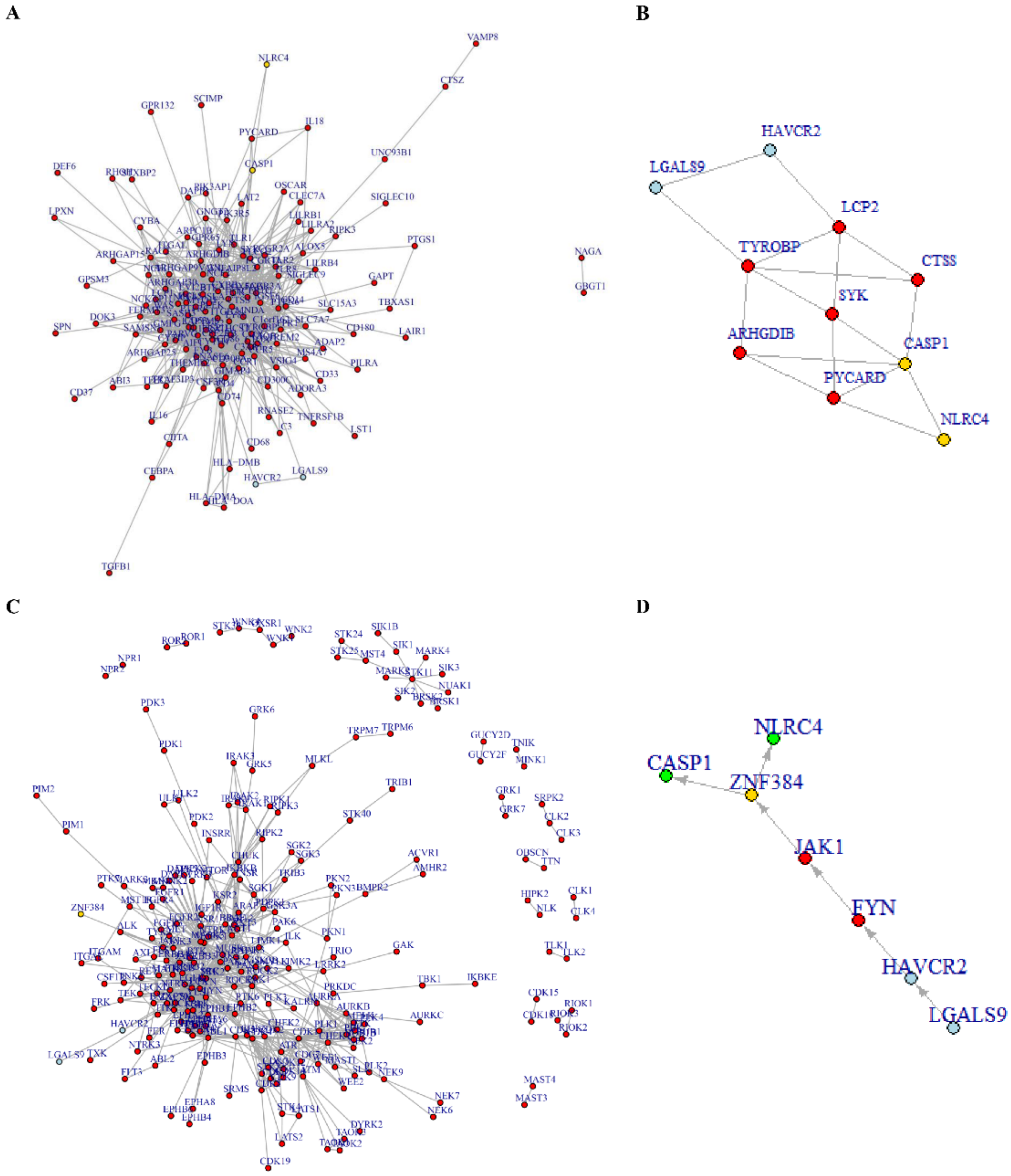 Ijms 23 02028 g006 550