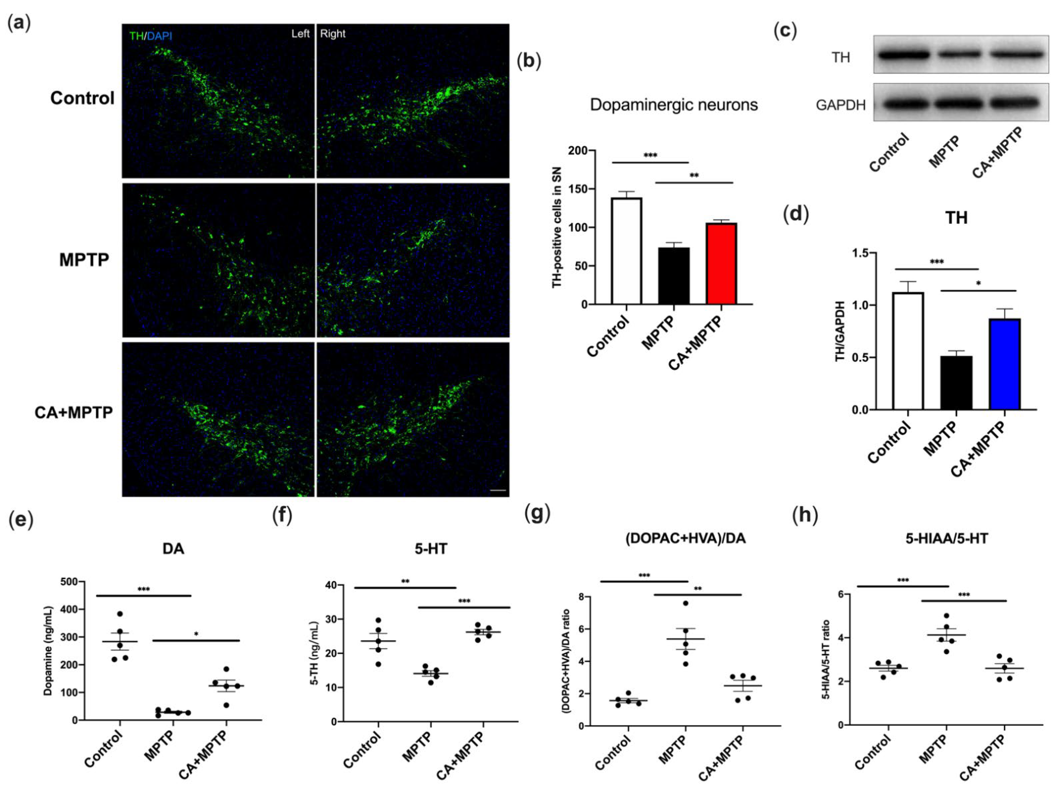 Ijms 23 02031 g002 550