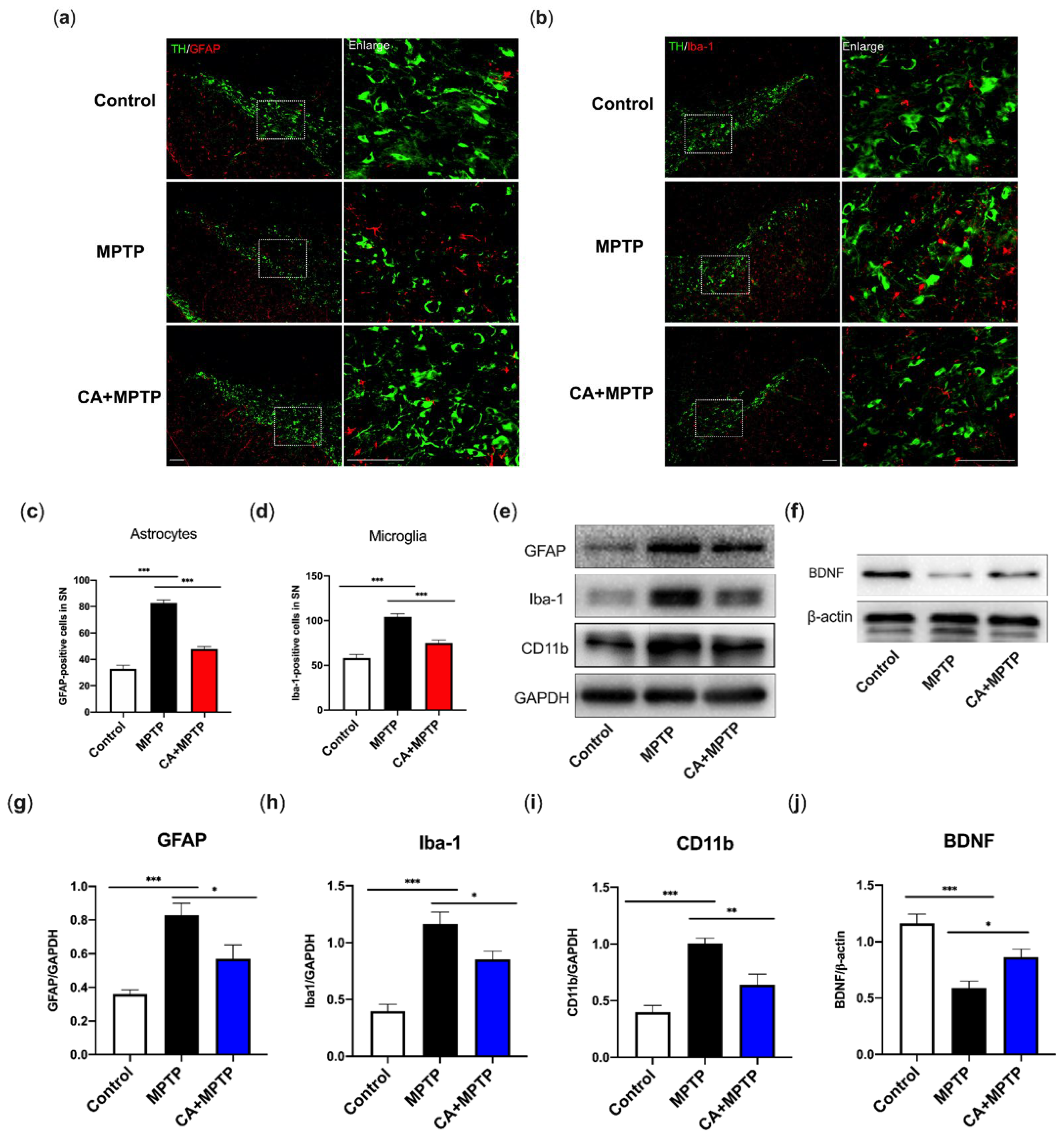 Ijms 23 02031 g003 550