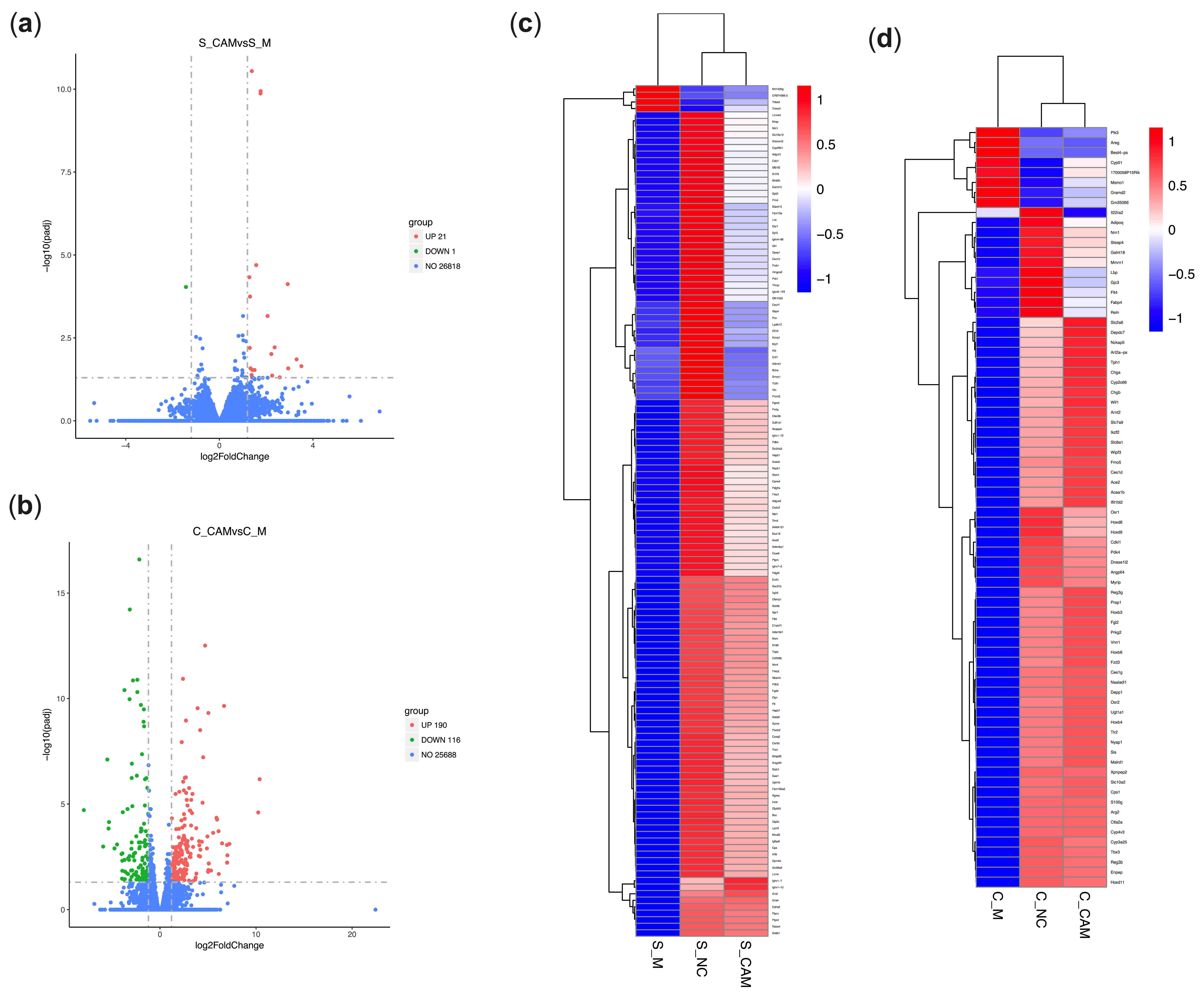 Ijms 23 02031 g005 550