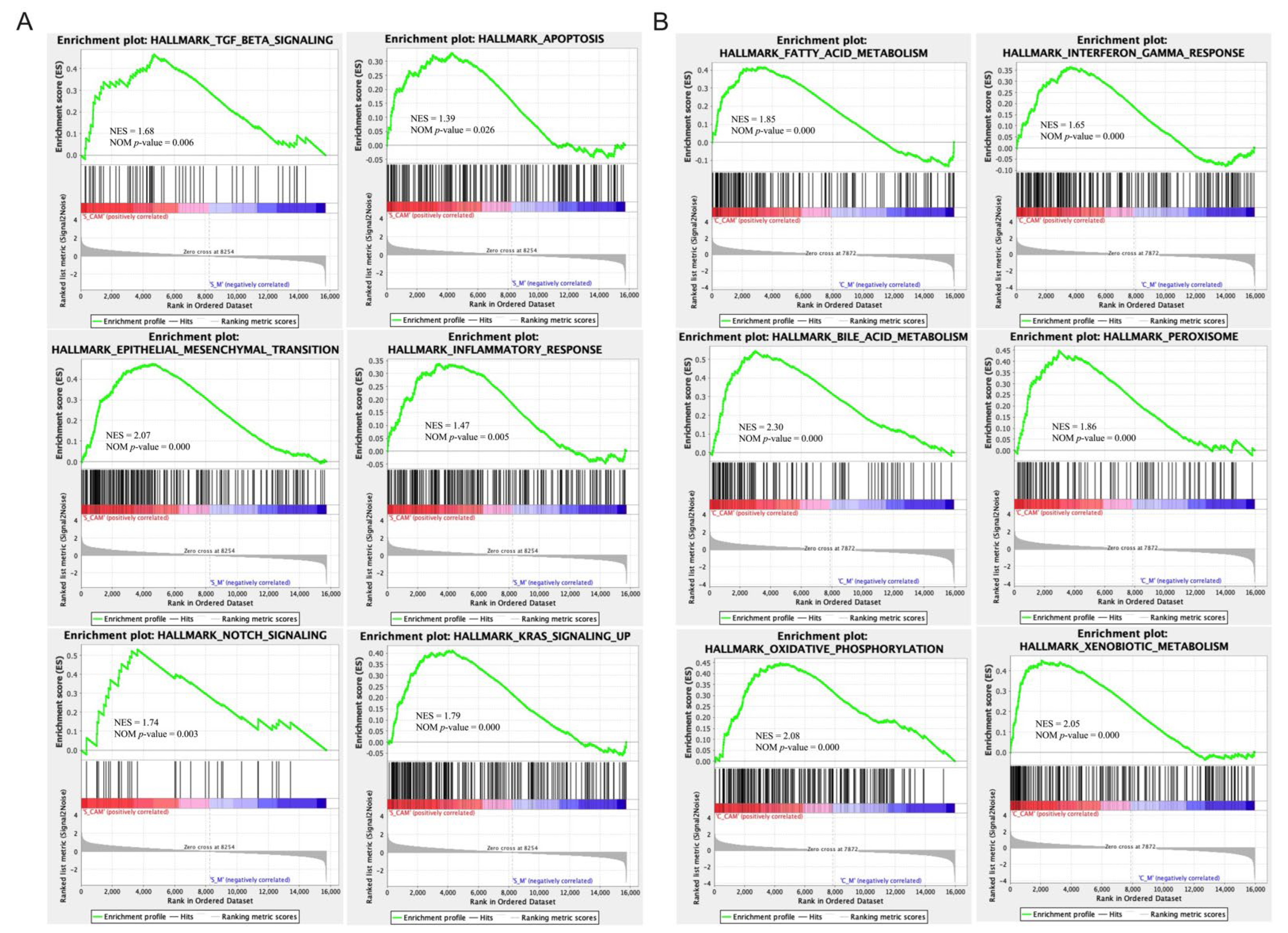 Ijms 23 02031 g006 550
