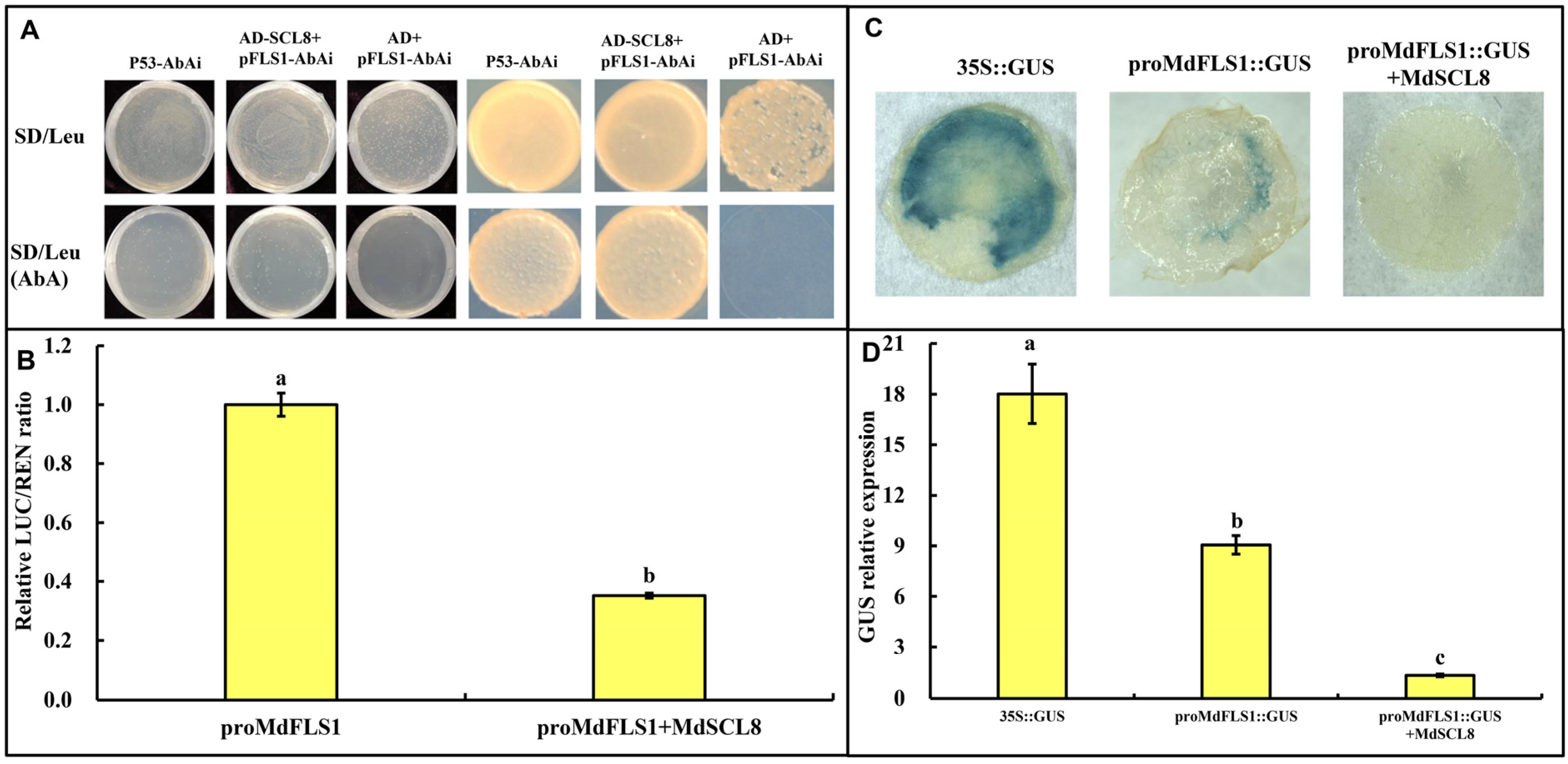 Ijms 23 02033 g002 550