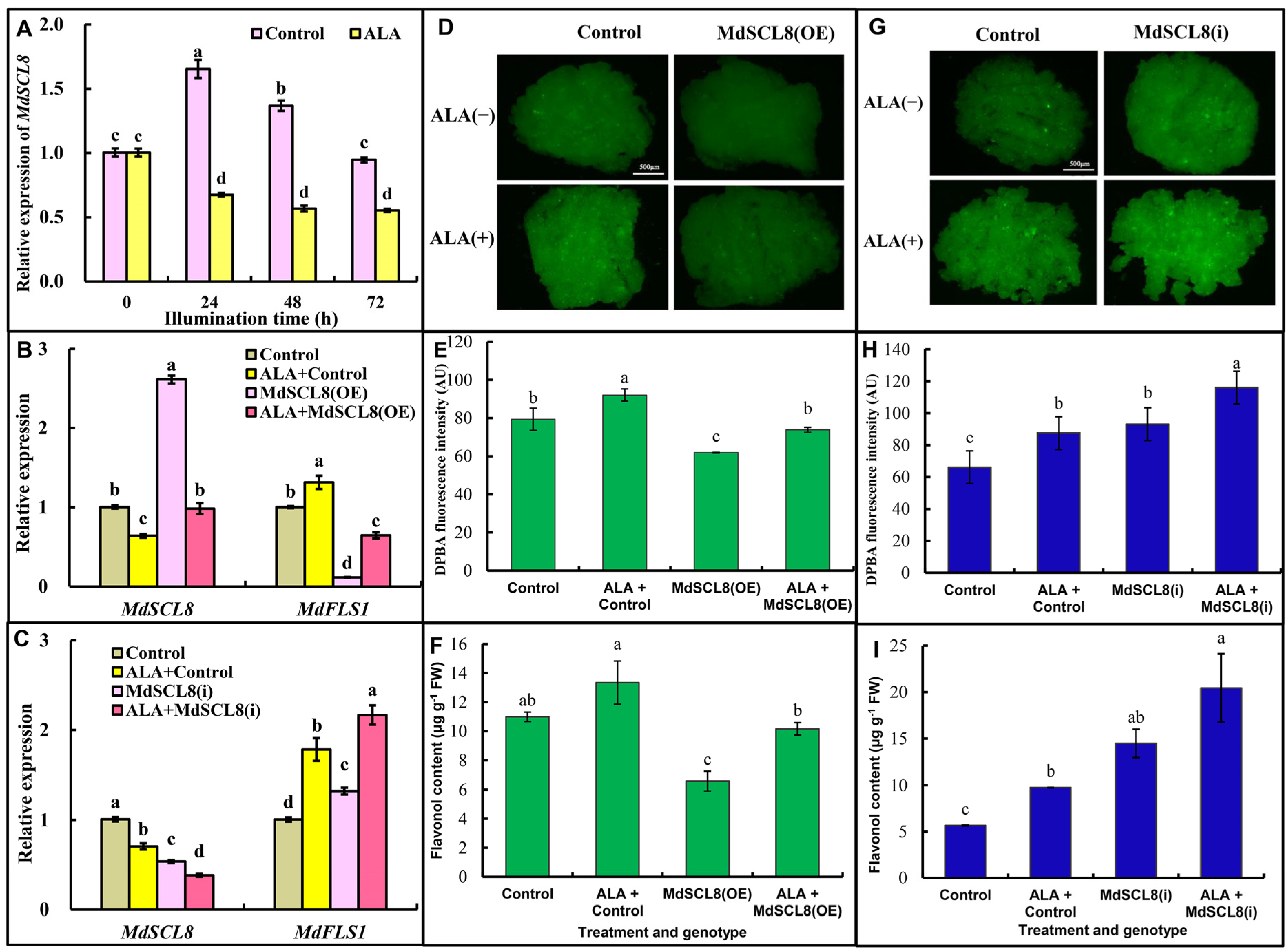 Ijms 23 02033 g004 550