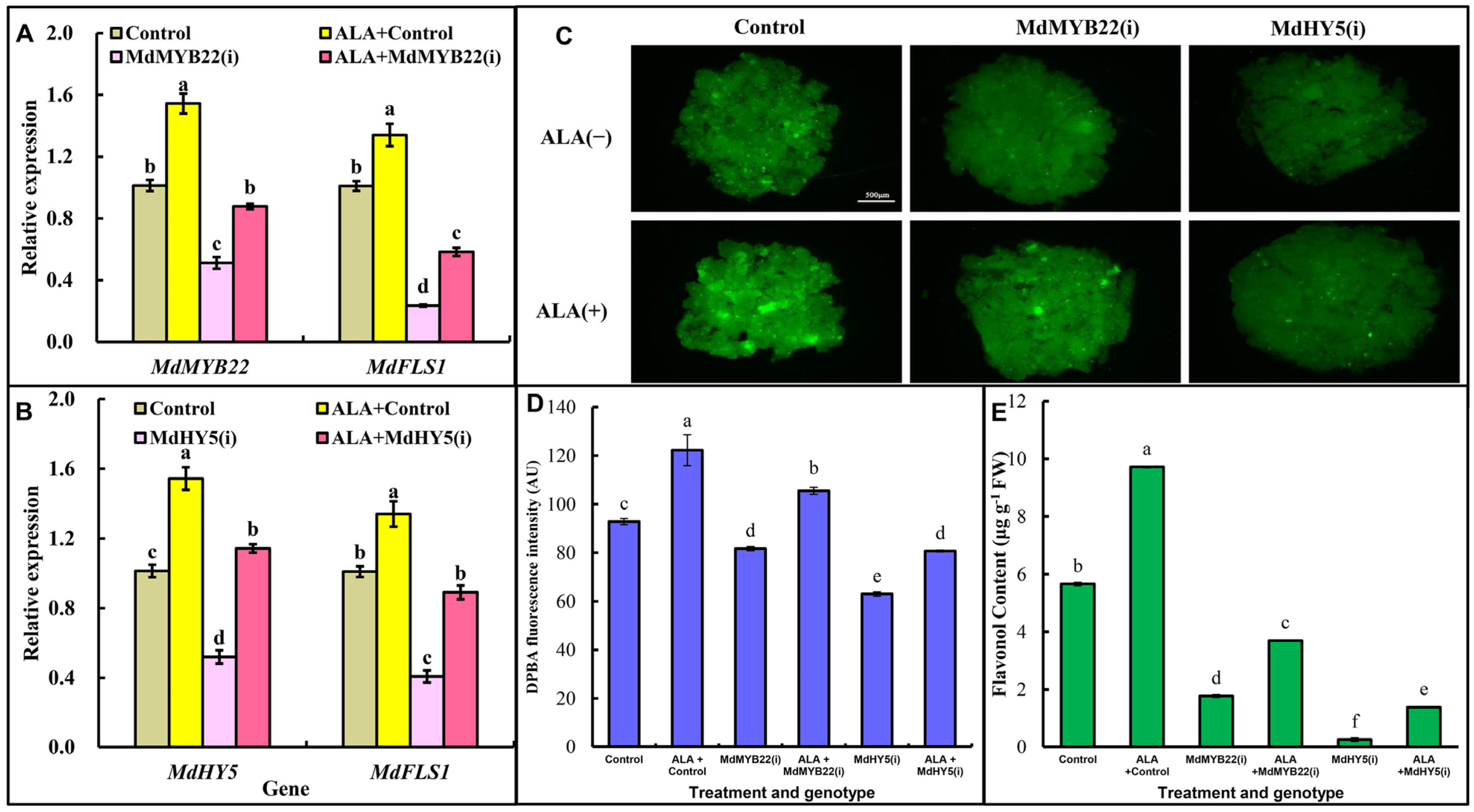 Ijms 23 02033 g005 550