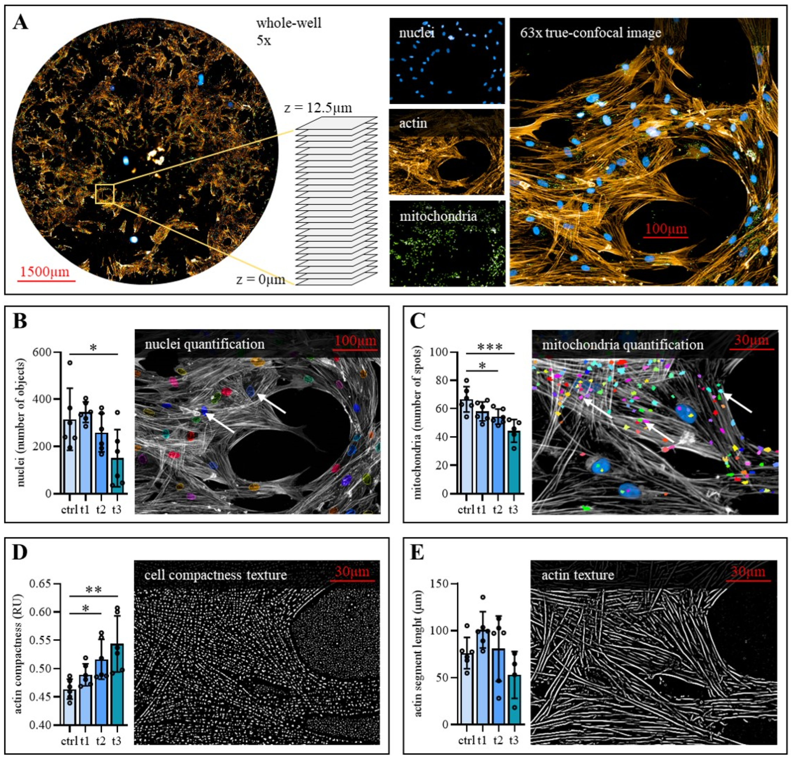 Ijms 23 02038 g003 550