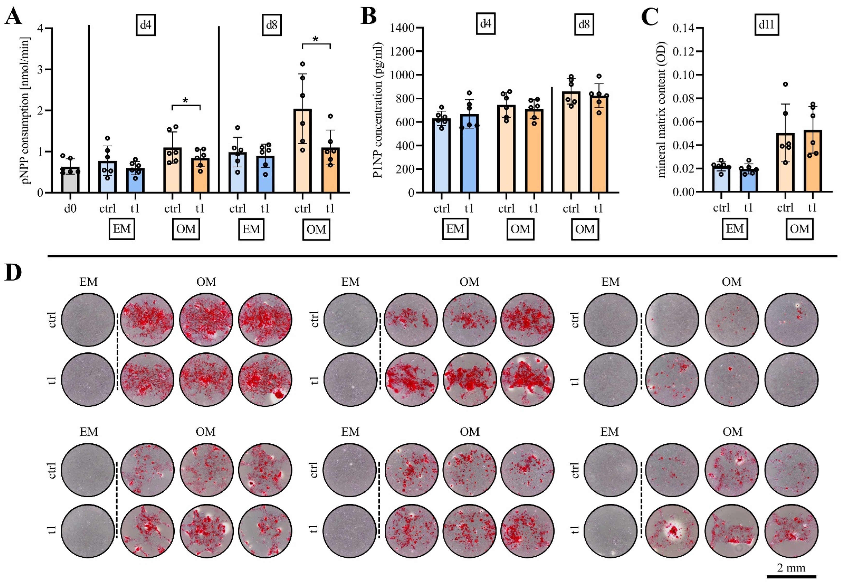 Ijms 23 02038 g004 550