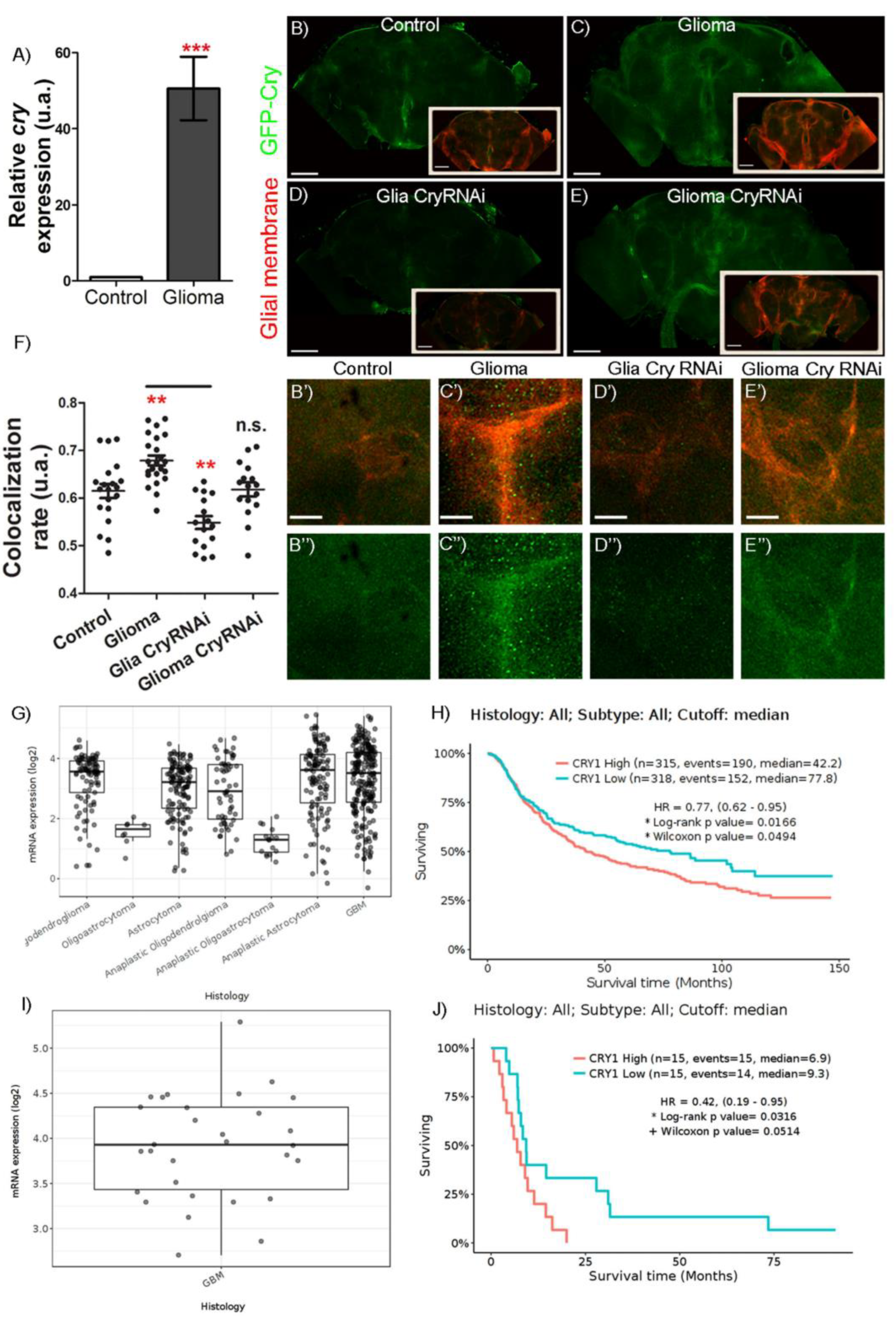Ijms 23 02043 g001 Ijms 23 02043 g001