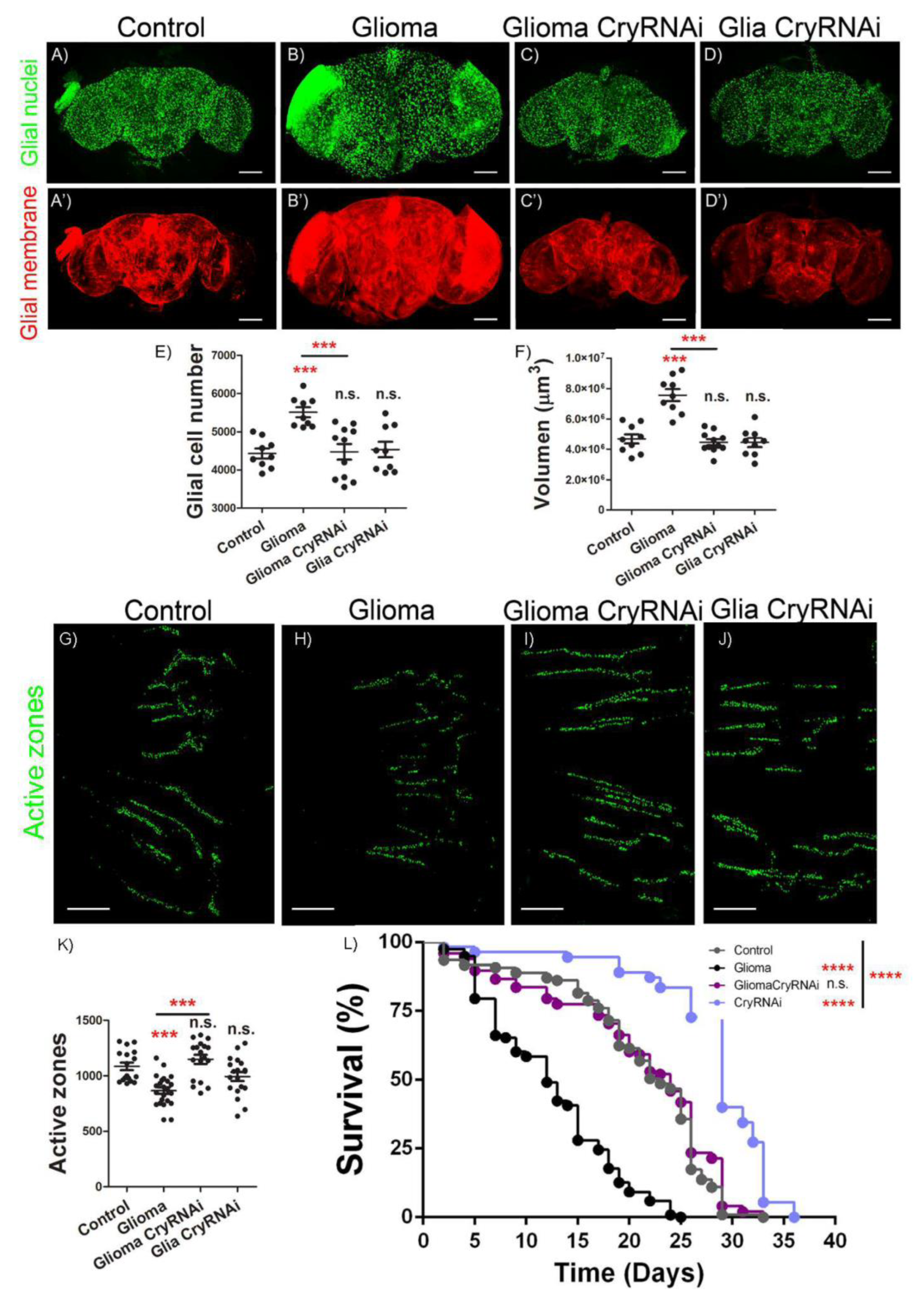 Ijms 23 02043 g002 Ijms 23 02043 g002