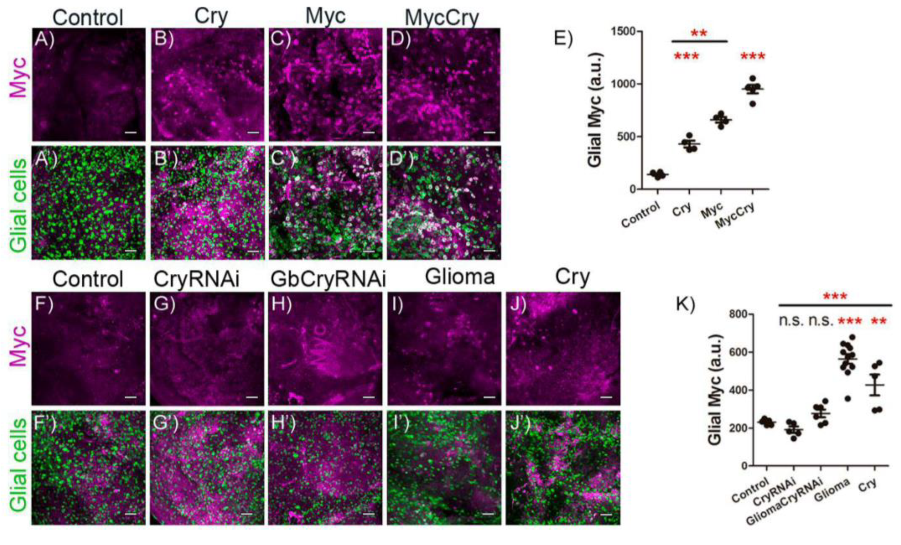 Ijms 23 02043 g004 Ijms 23 02043 g004