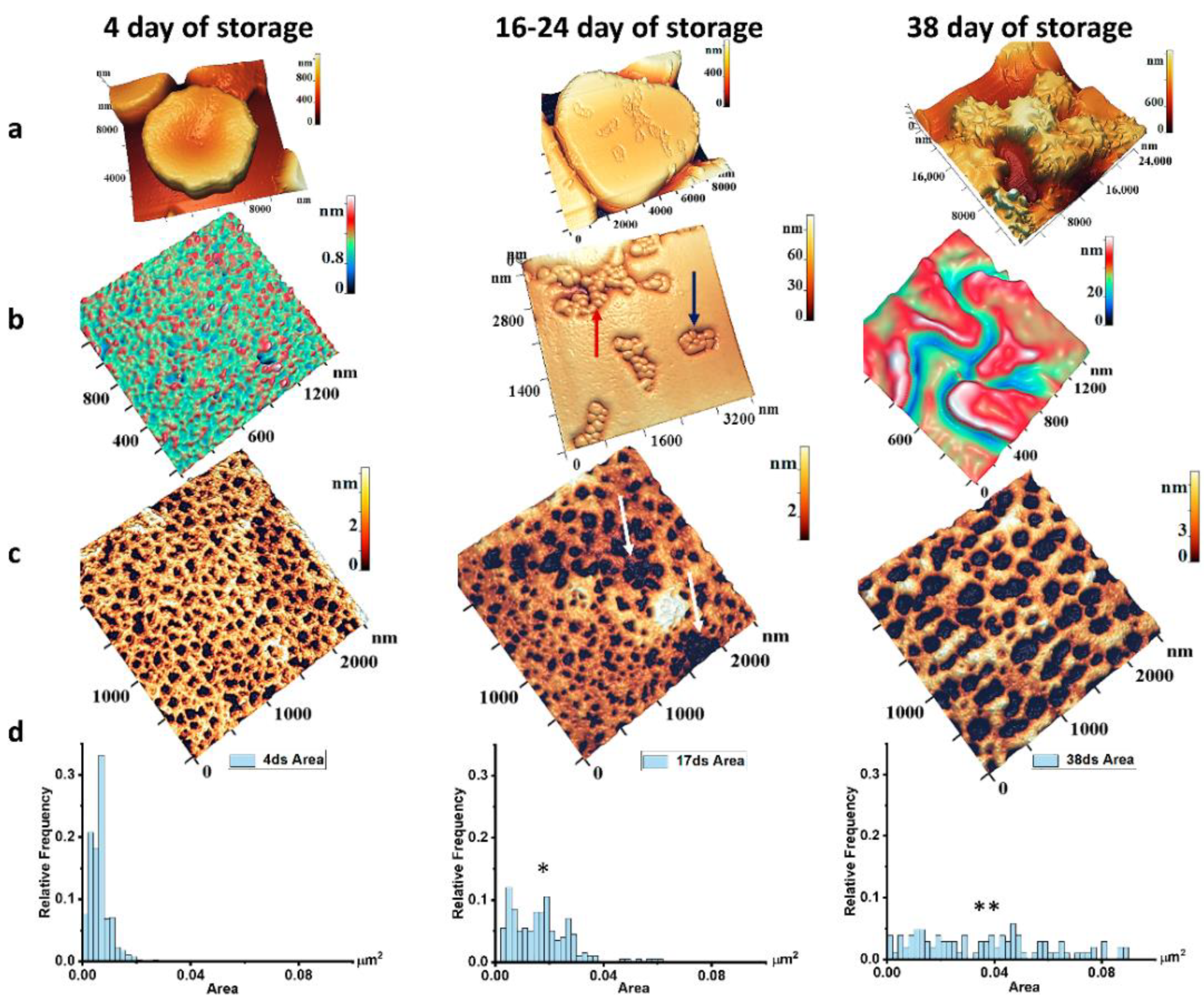 Ijms 23 02045 g003 550